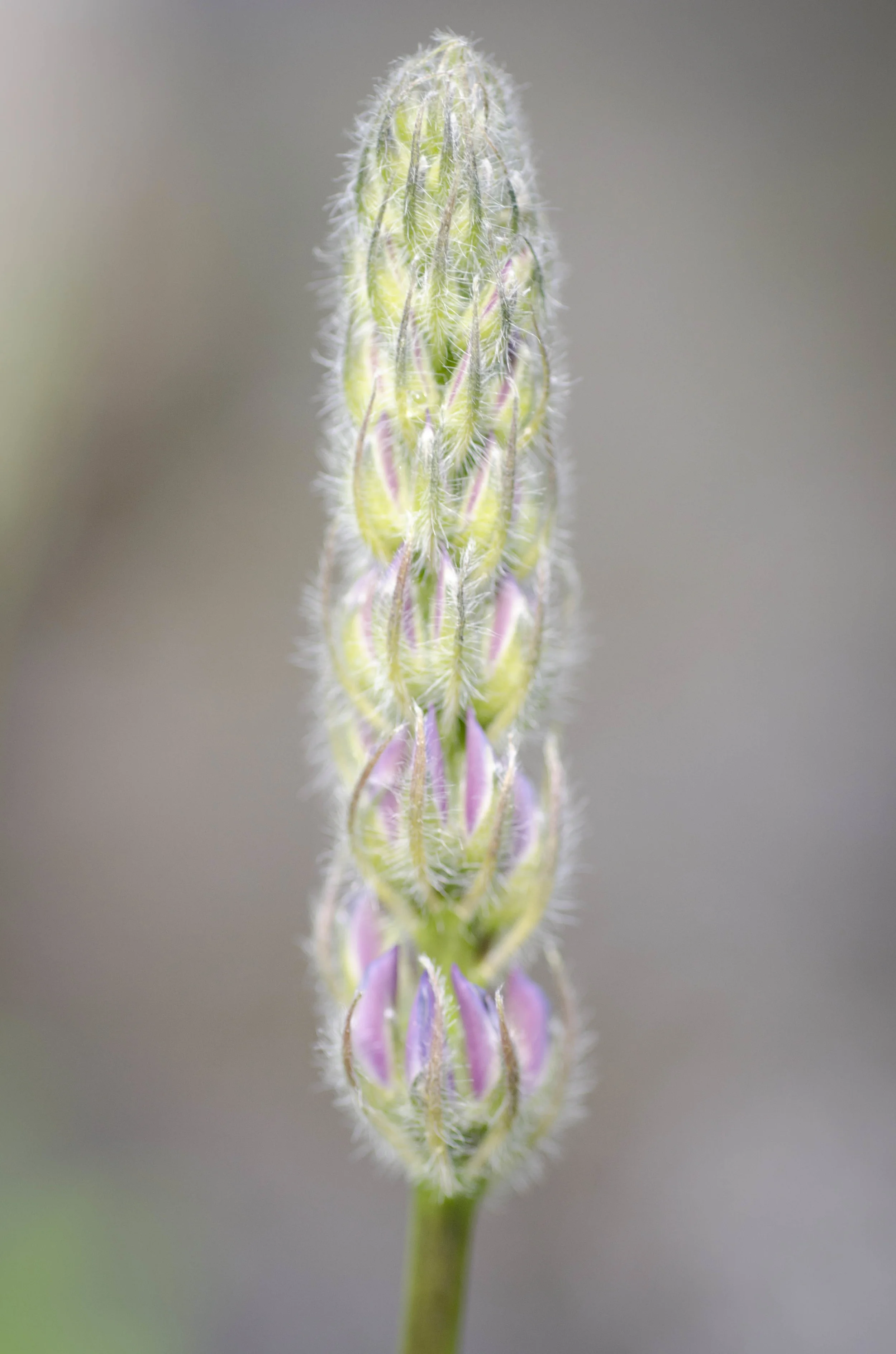 Day 23: A day of rest