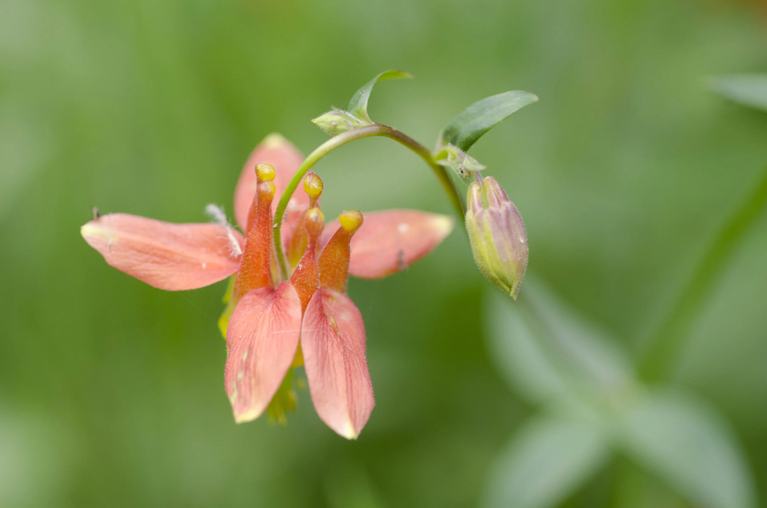 Day 23: A day of rest