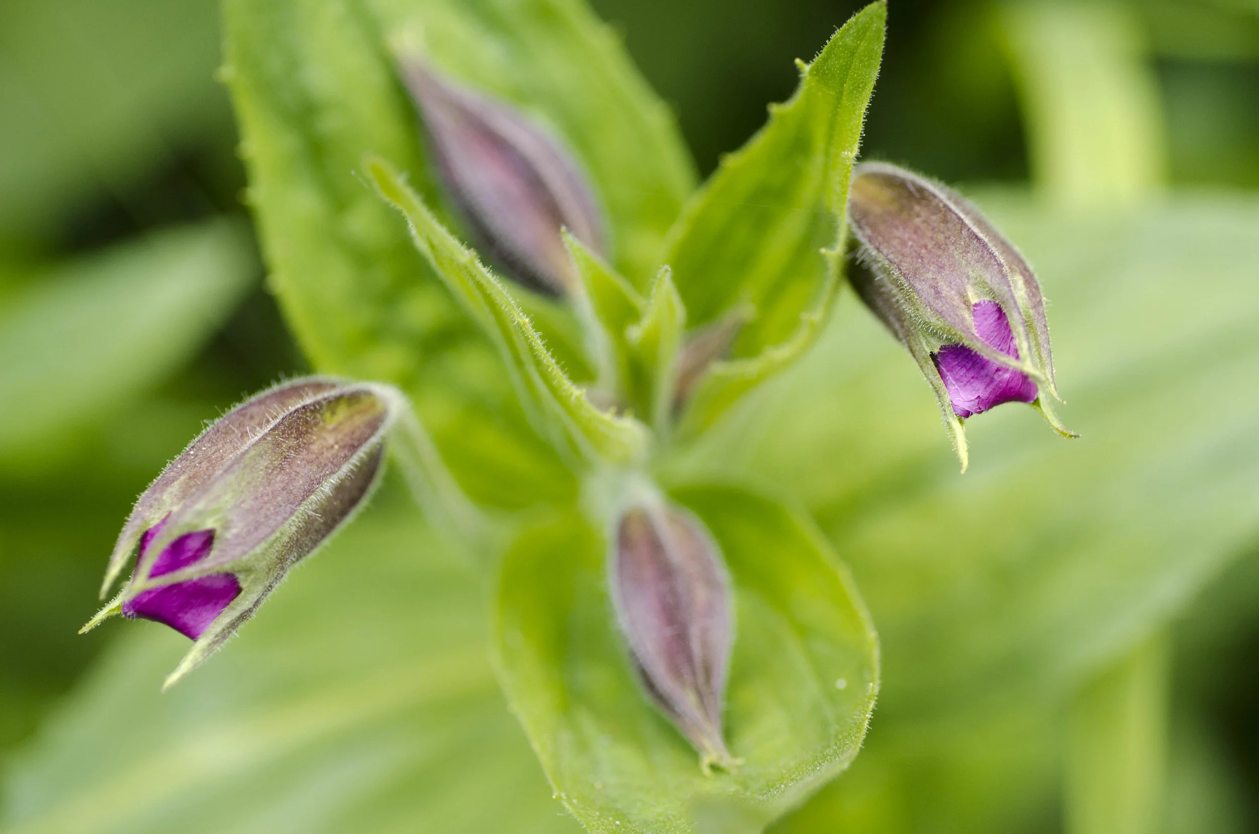 Day 23: A day of rest