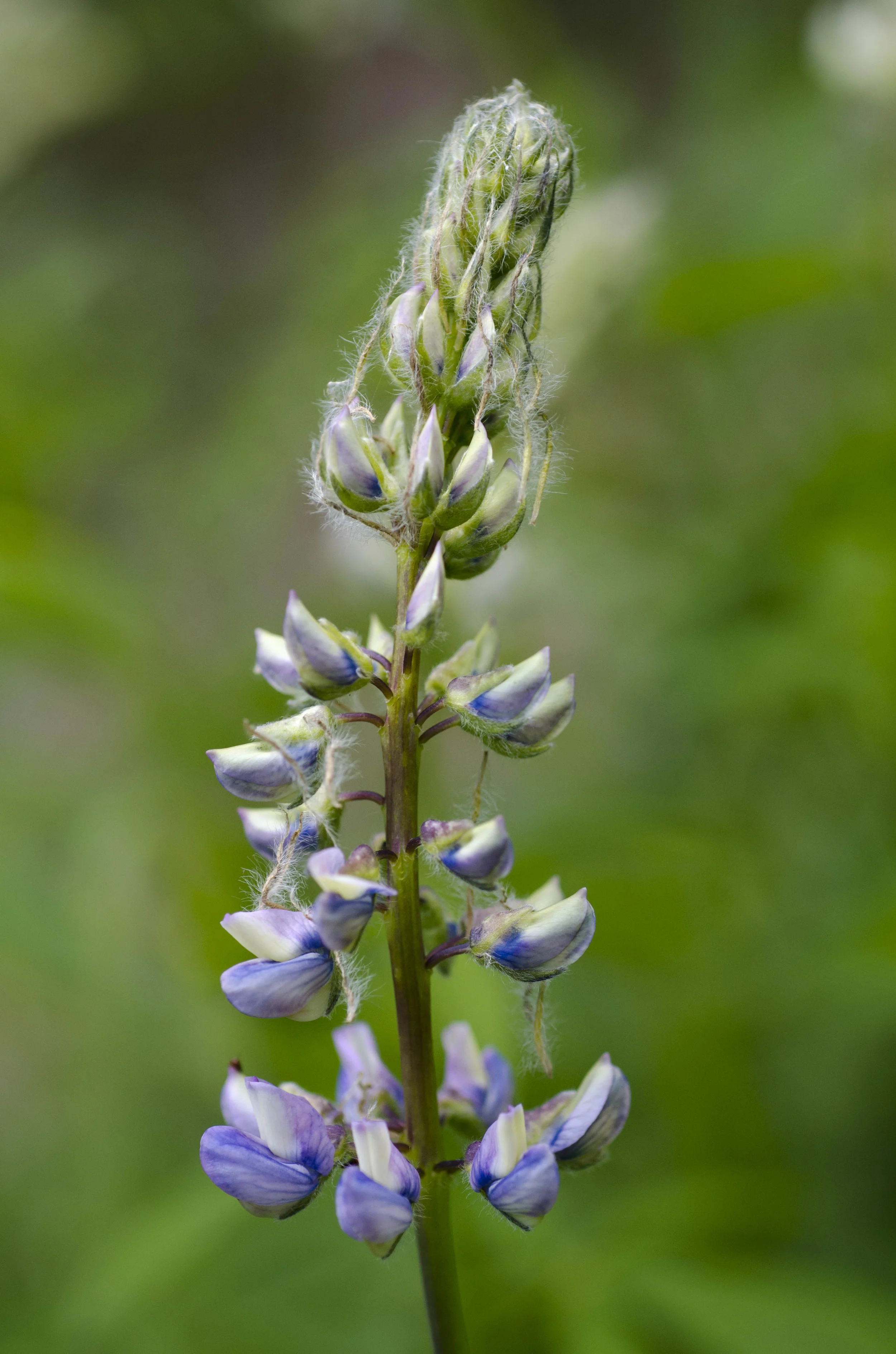 Day 23: A day of rest