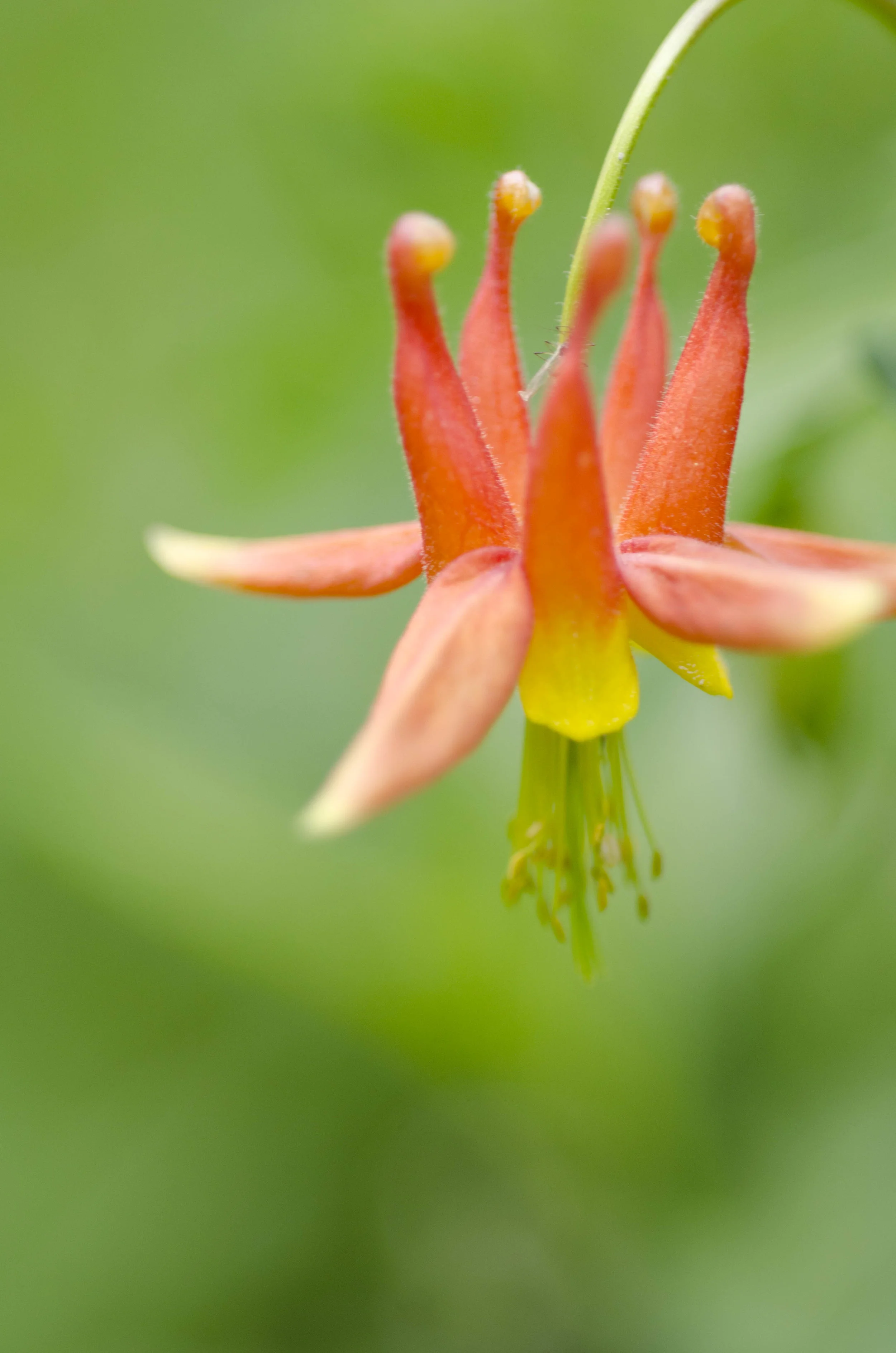 Day 23: A day of rest