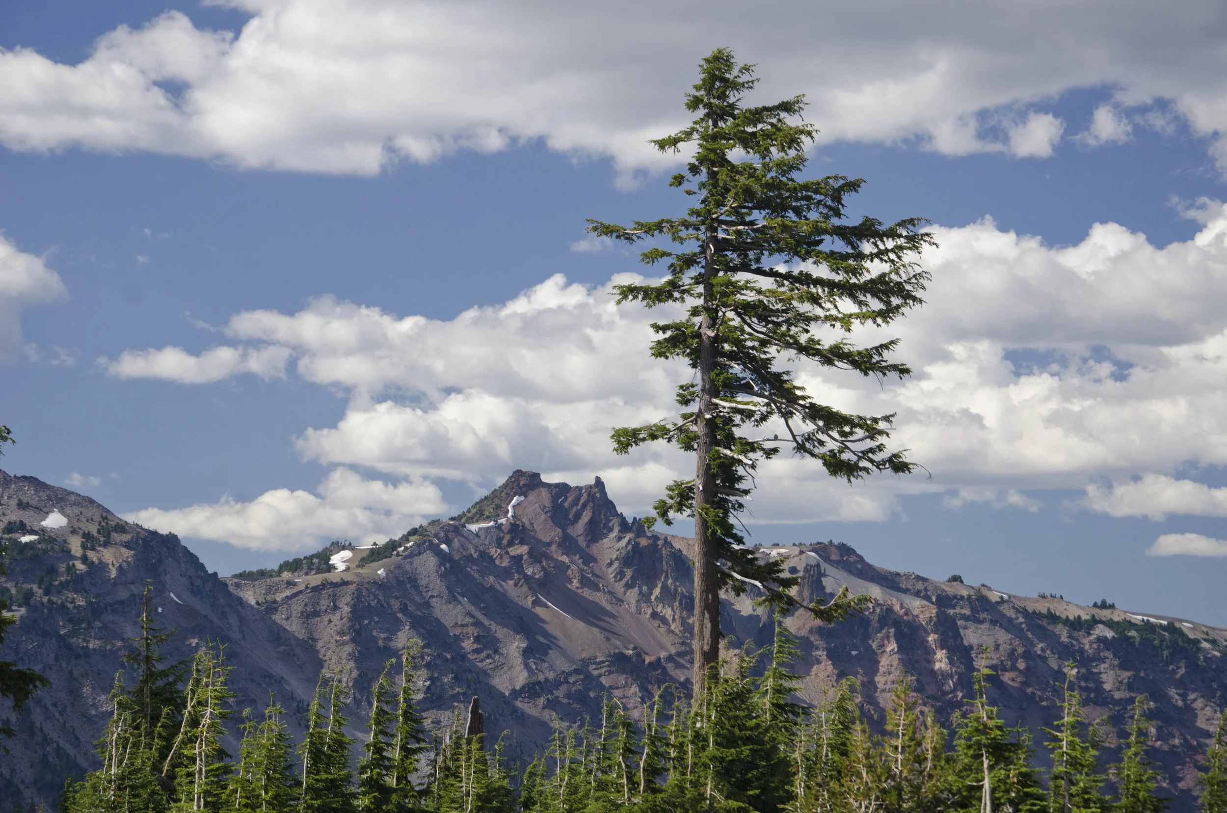 Day 23: A day of rest