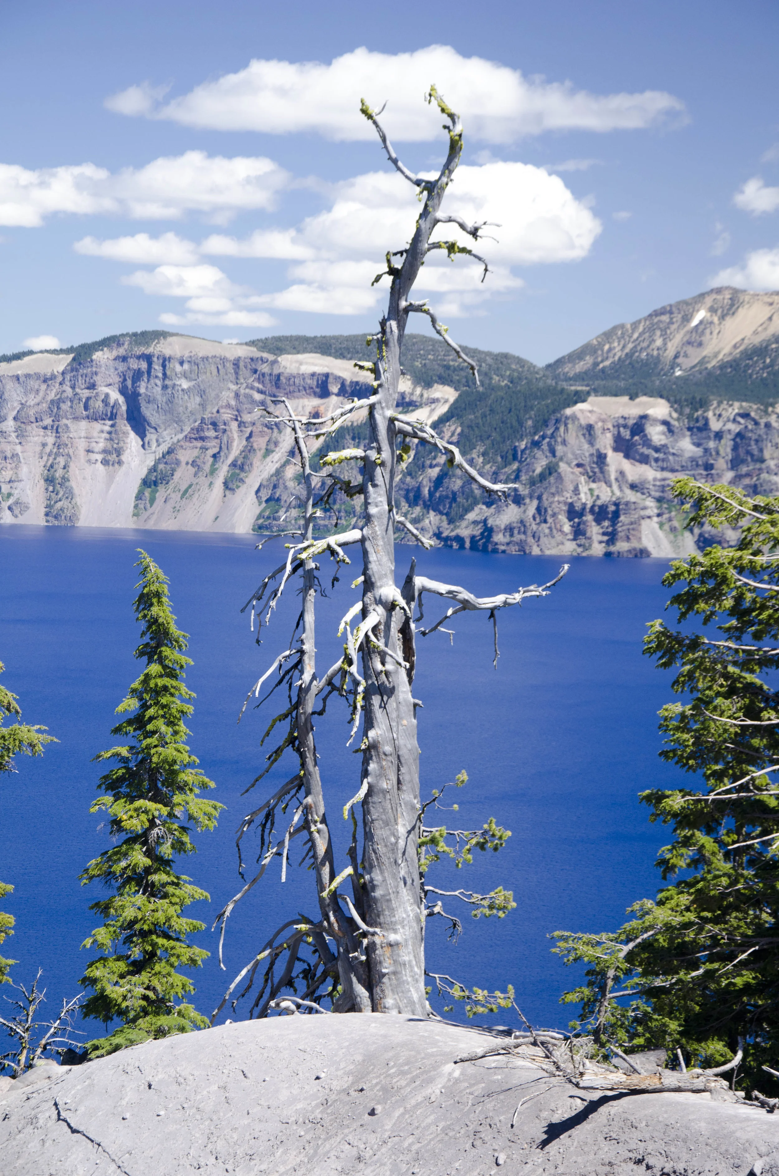 Day 22: After we came down from the mountain...