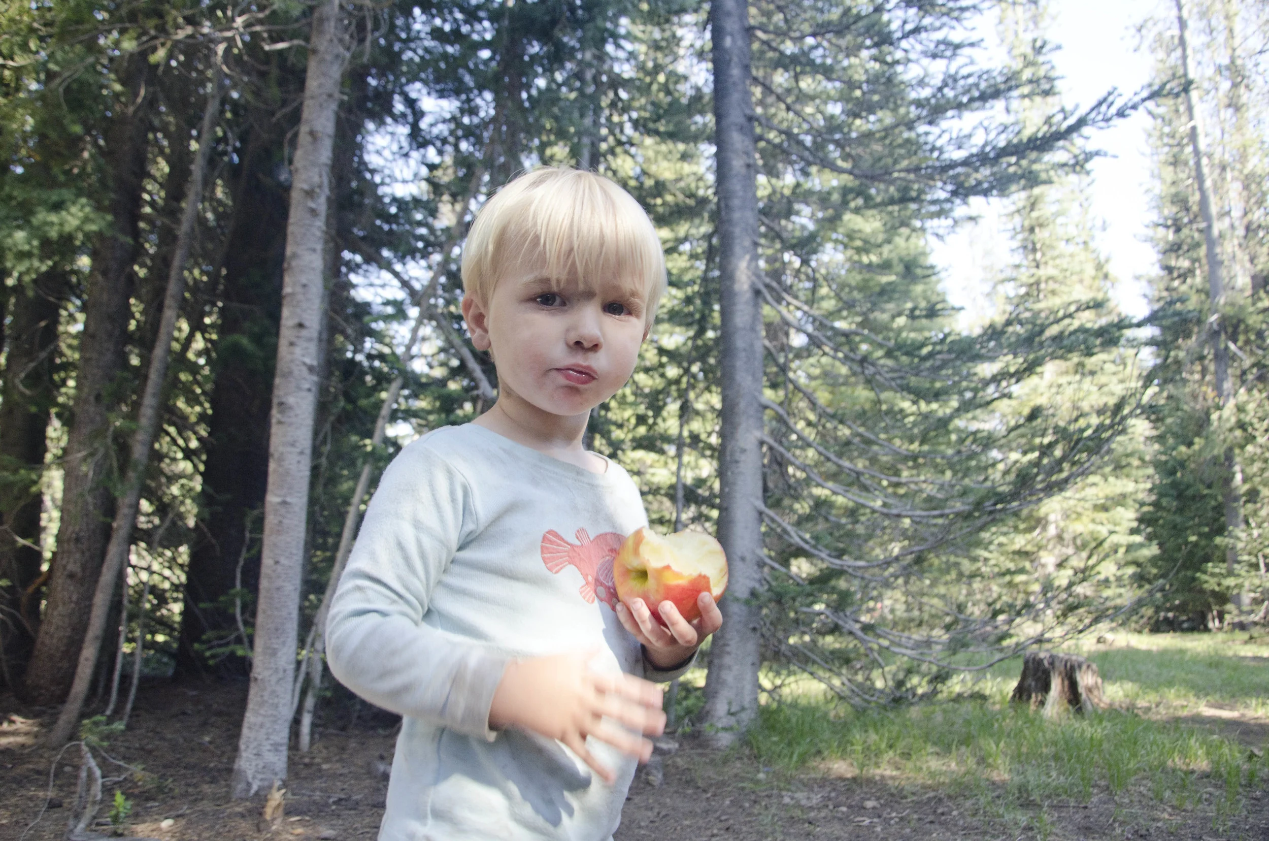 Day 22: After we came down from the mountain...