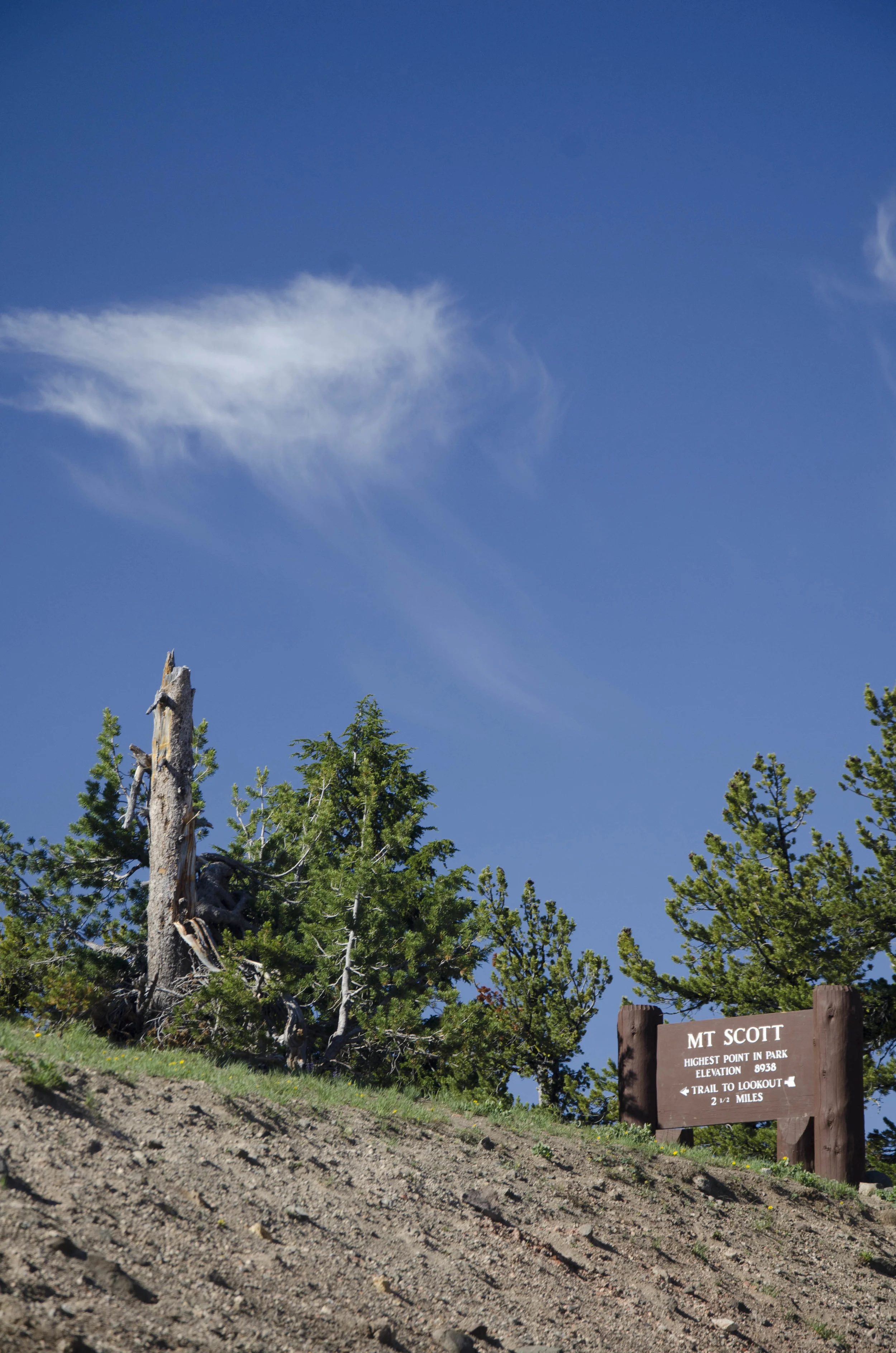 Day 22: Our boys' first summit