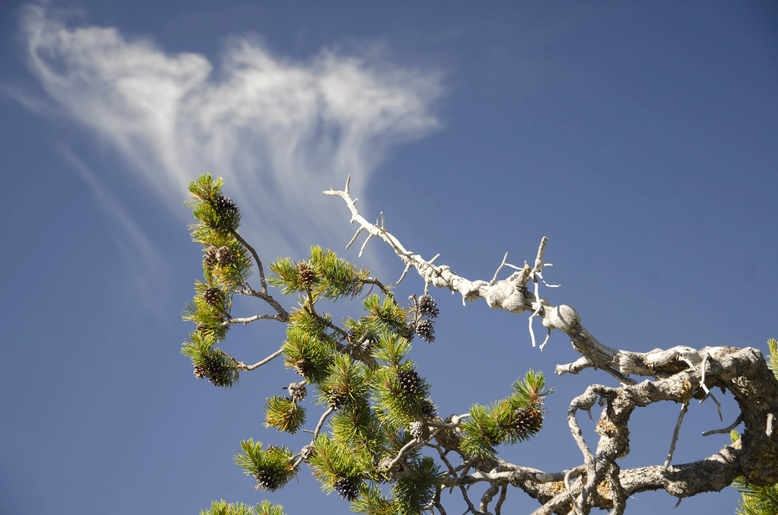 Day 22: Our boys' first summit