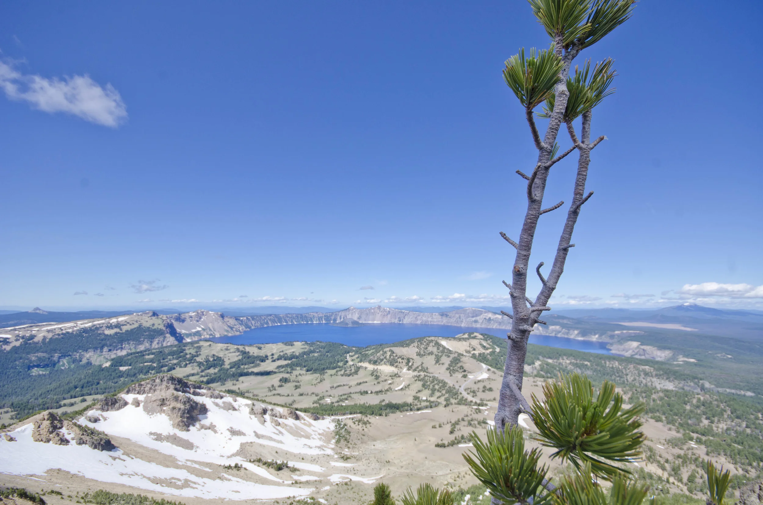 Day 22: Our boys' first summit