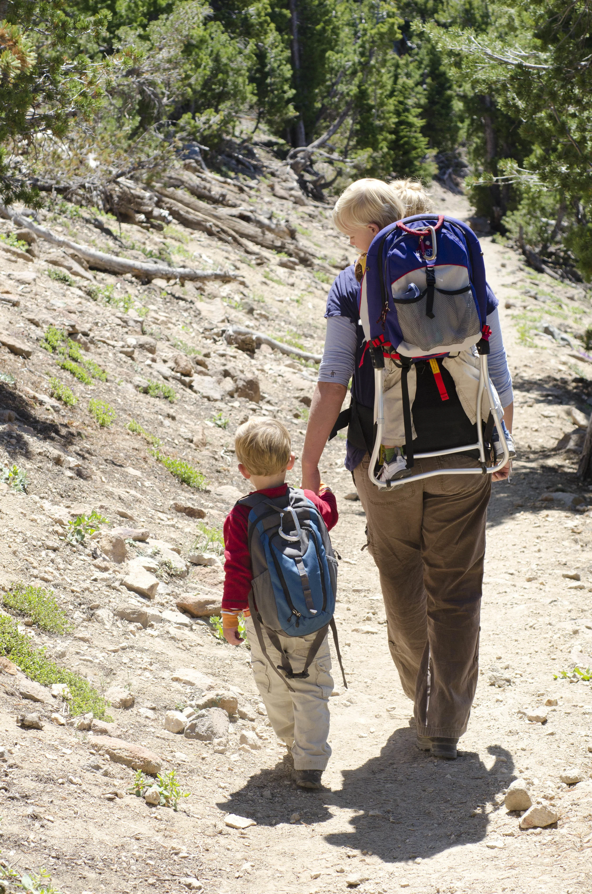 Day 22: Our boys' first summit