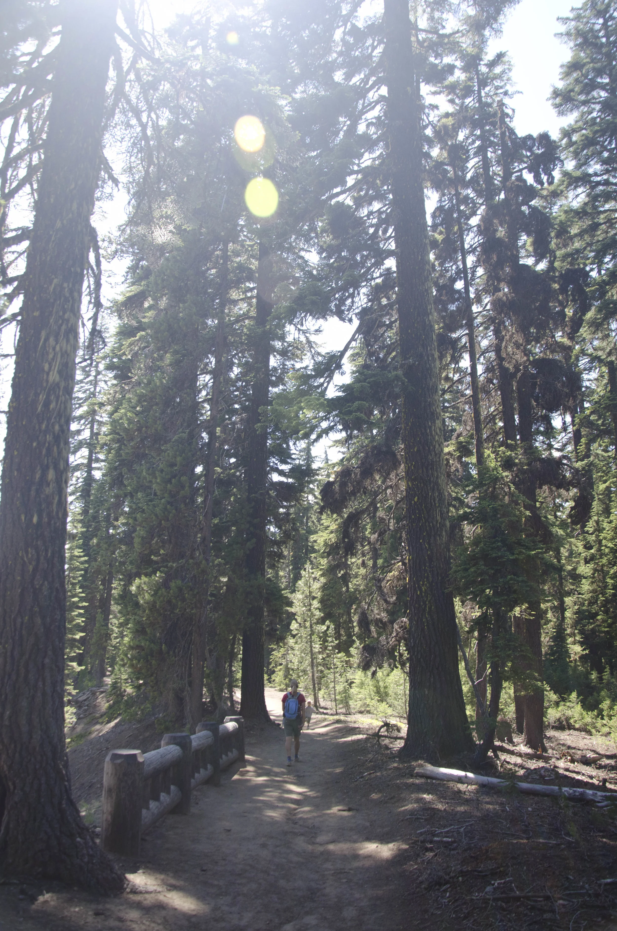 Day 21: 170 miles and 1 state