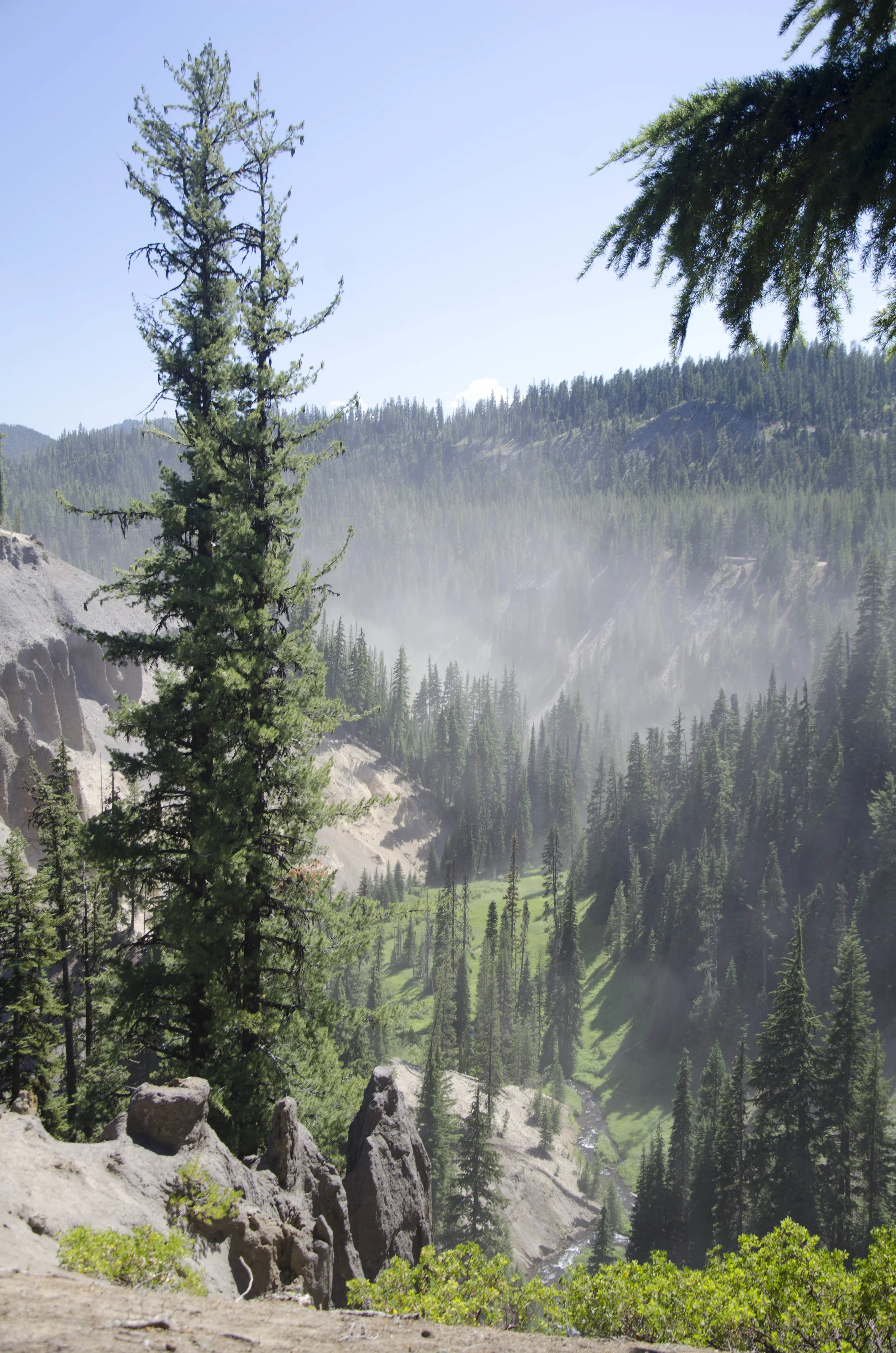 Day 21: 170 miles and 1 state