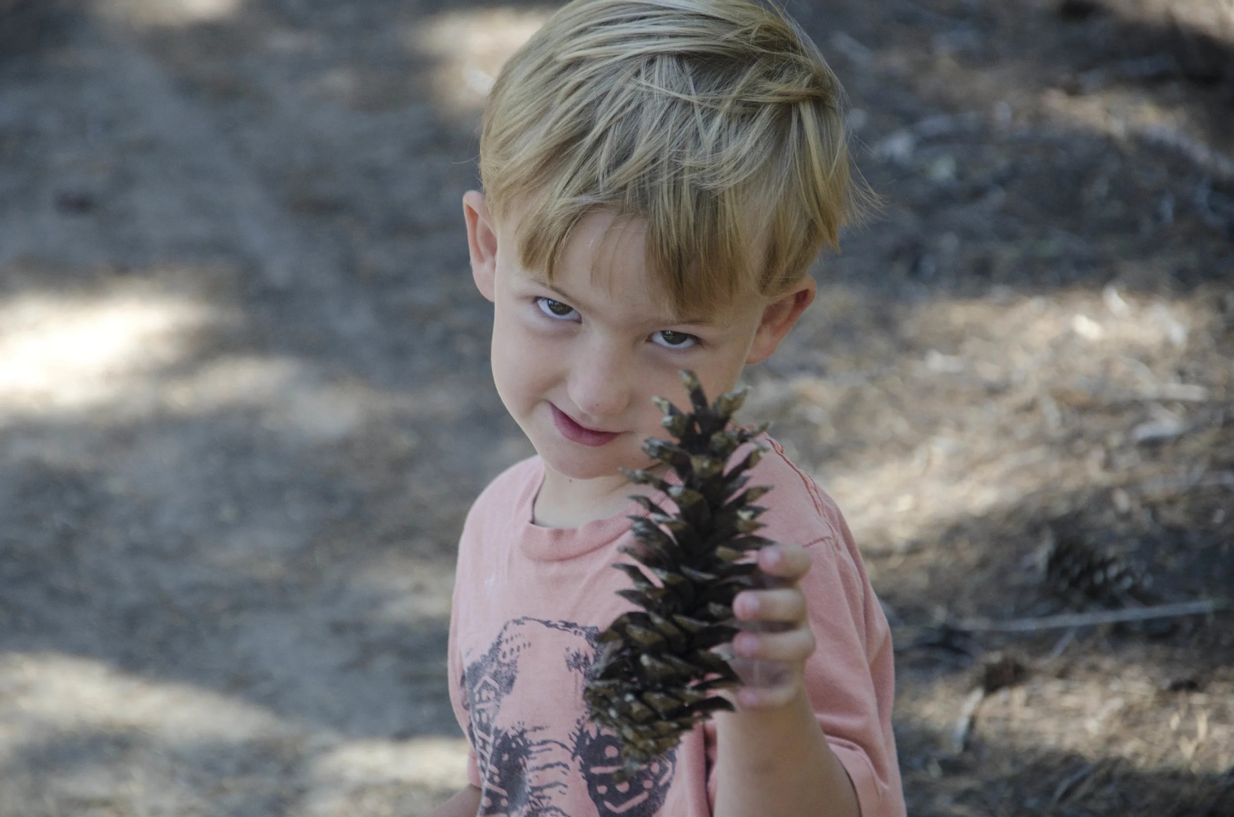 Day 21: 170 miles and 1 state