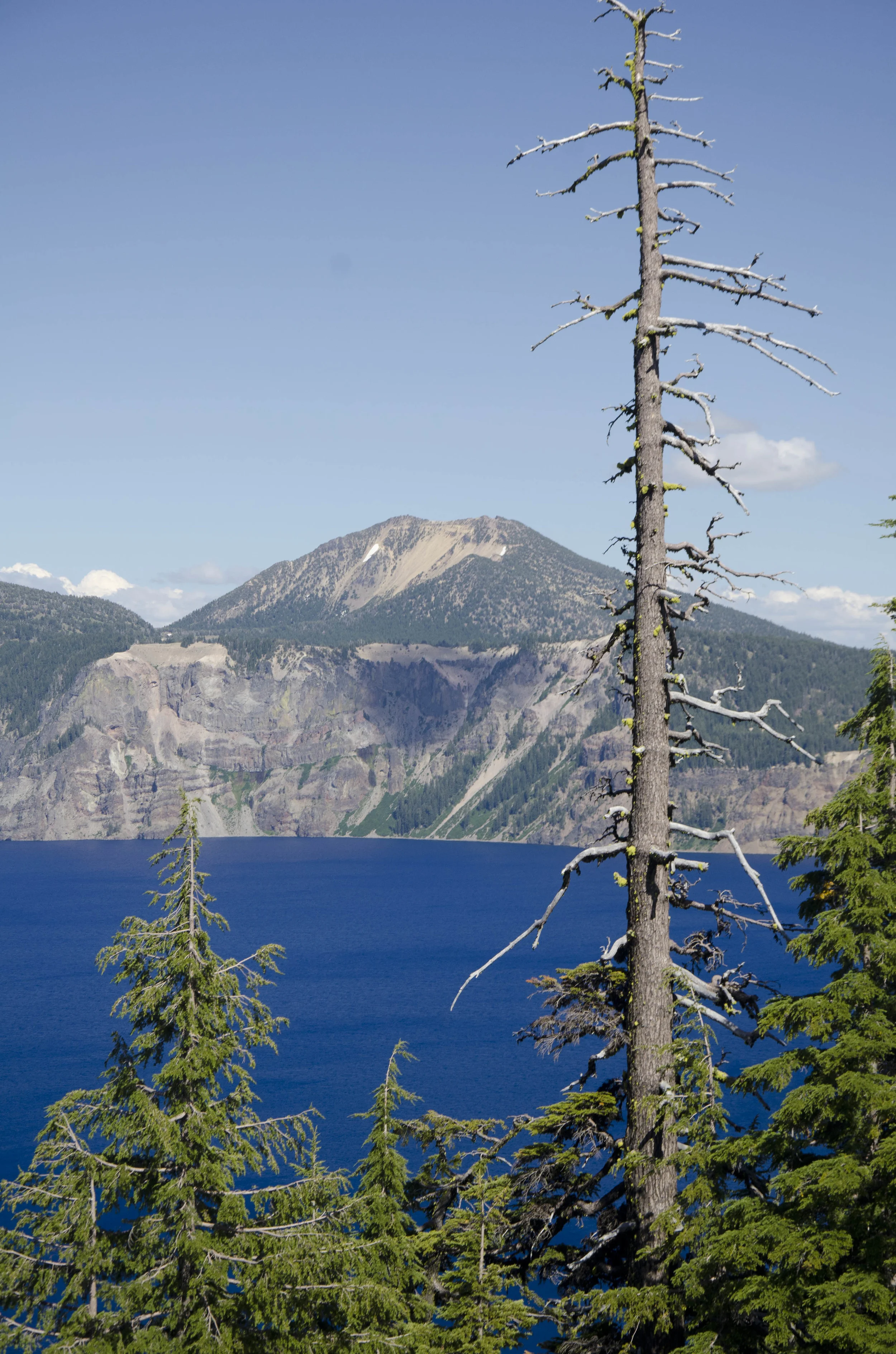 Day 21: 170 miles and 1 state