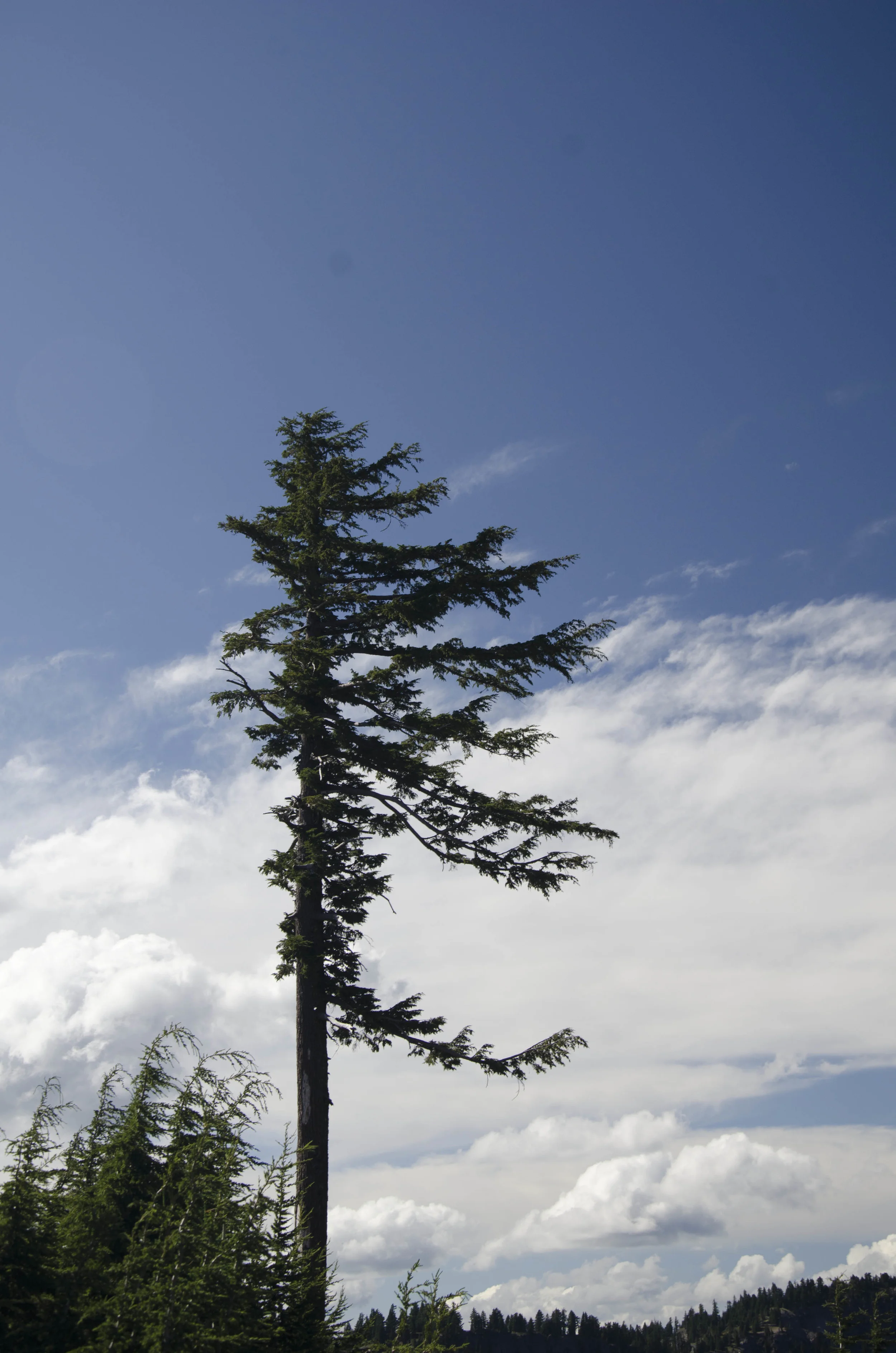 Day 21: 170 miles and 1 state