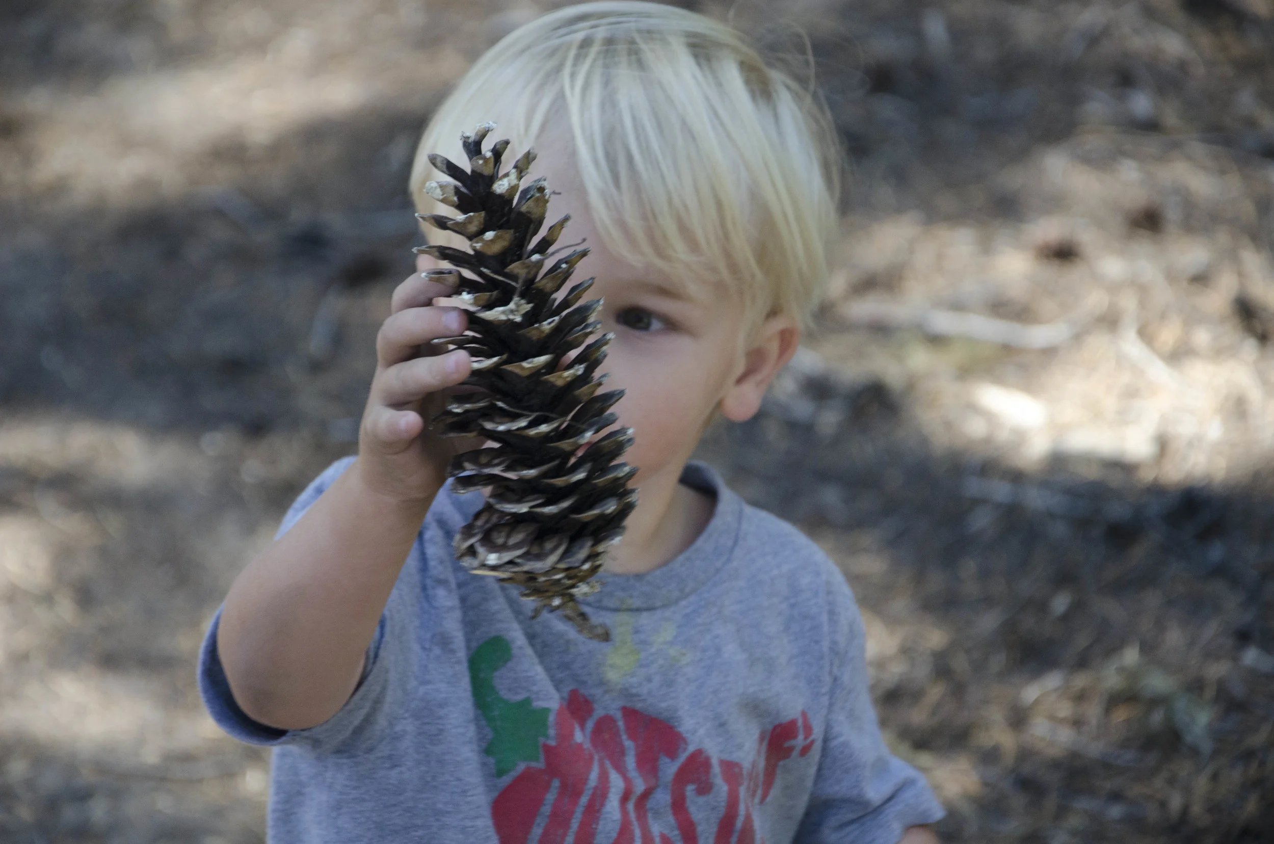 Day 21: 170 miles and 1 state