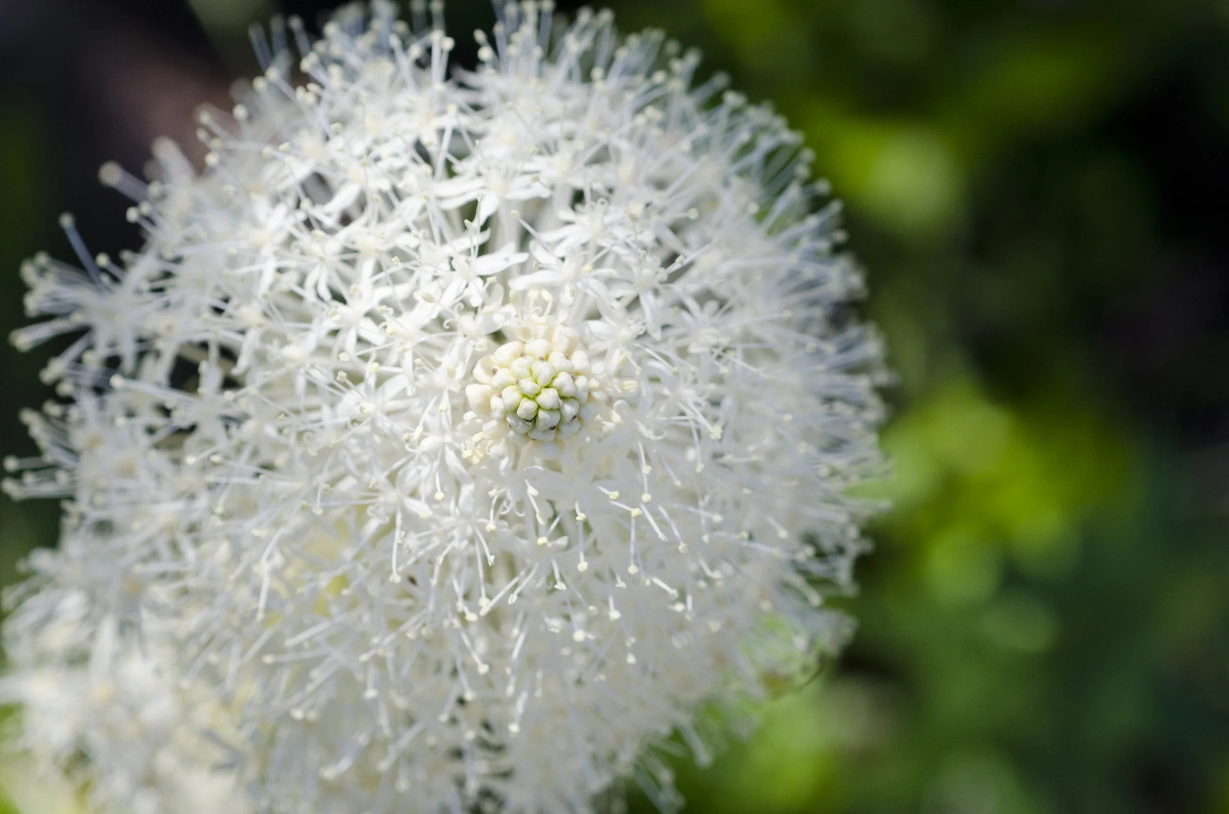 Day 18: Paul turns forty!!!