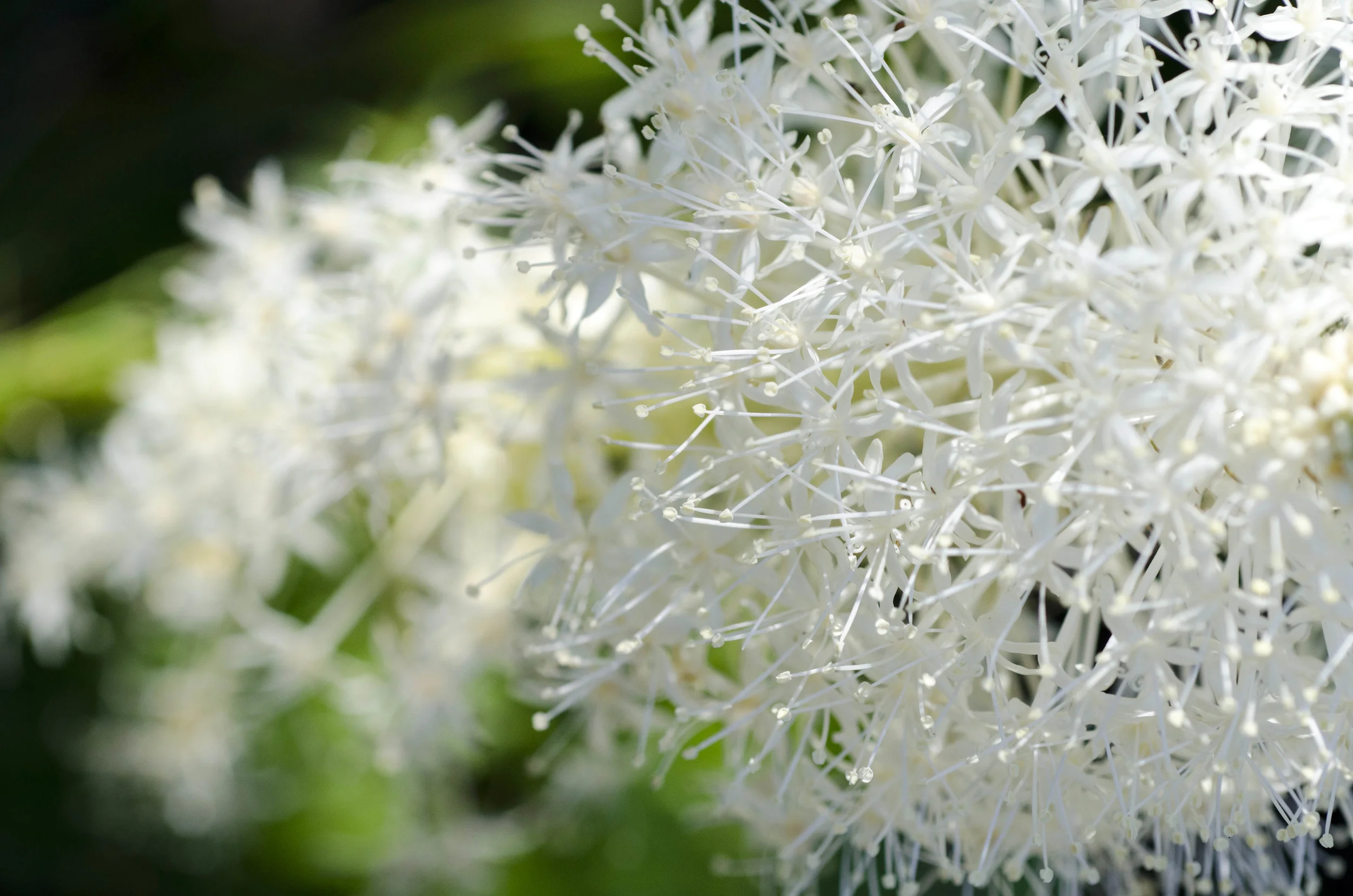 Day 18: Paul turns forty!!!