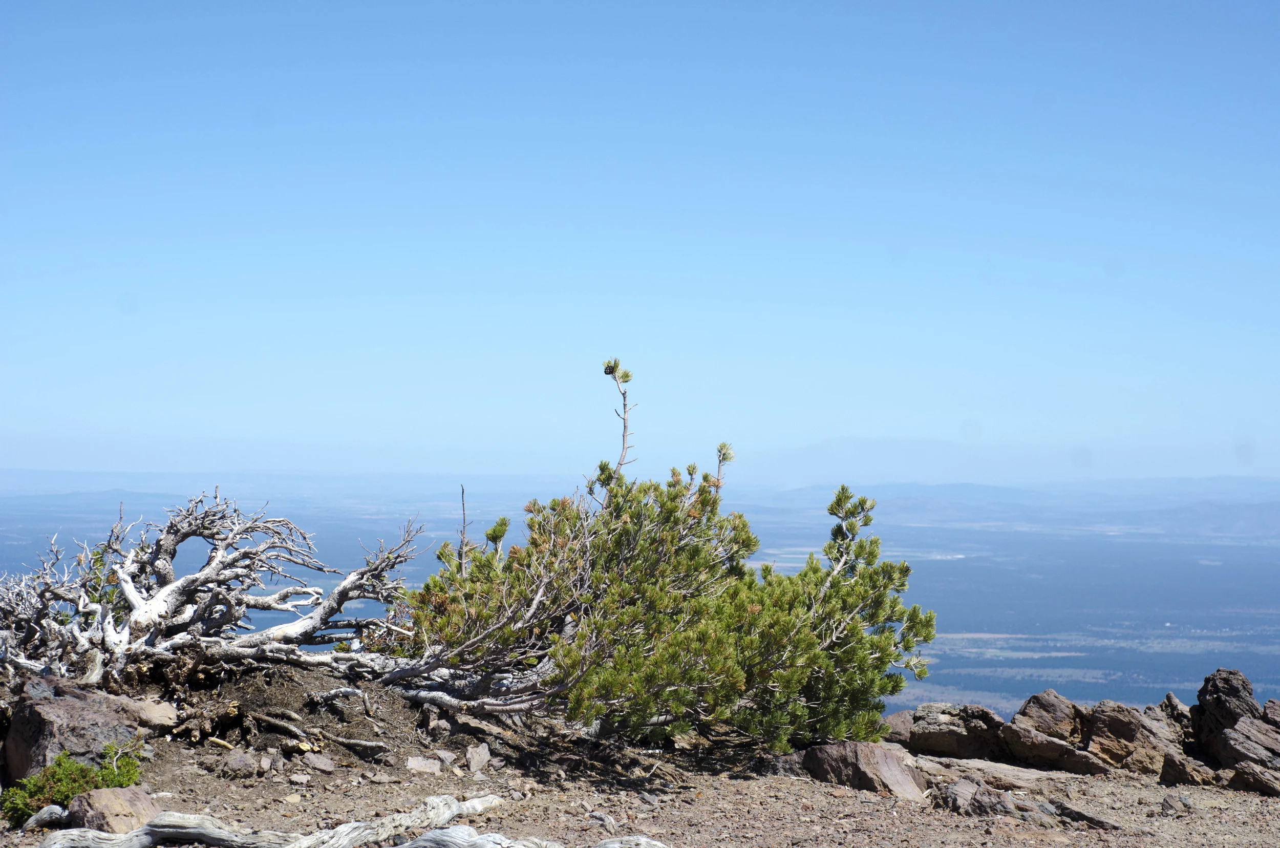Day 14: Tam MacArthur Rim