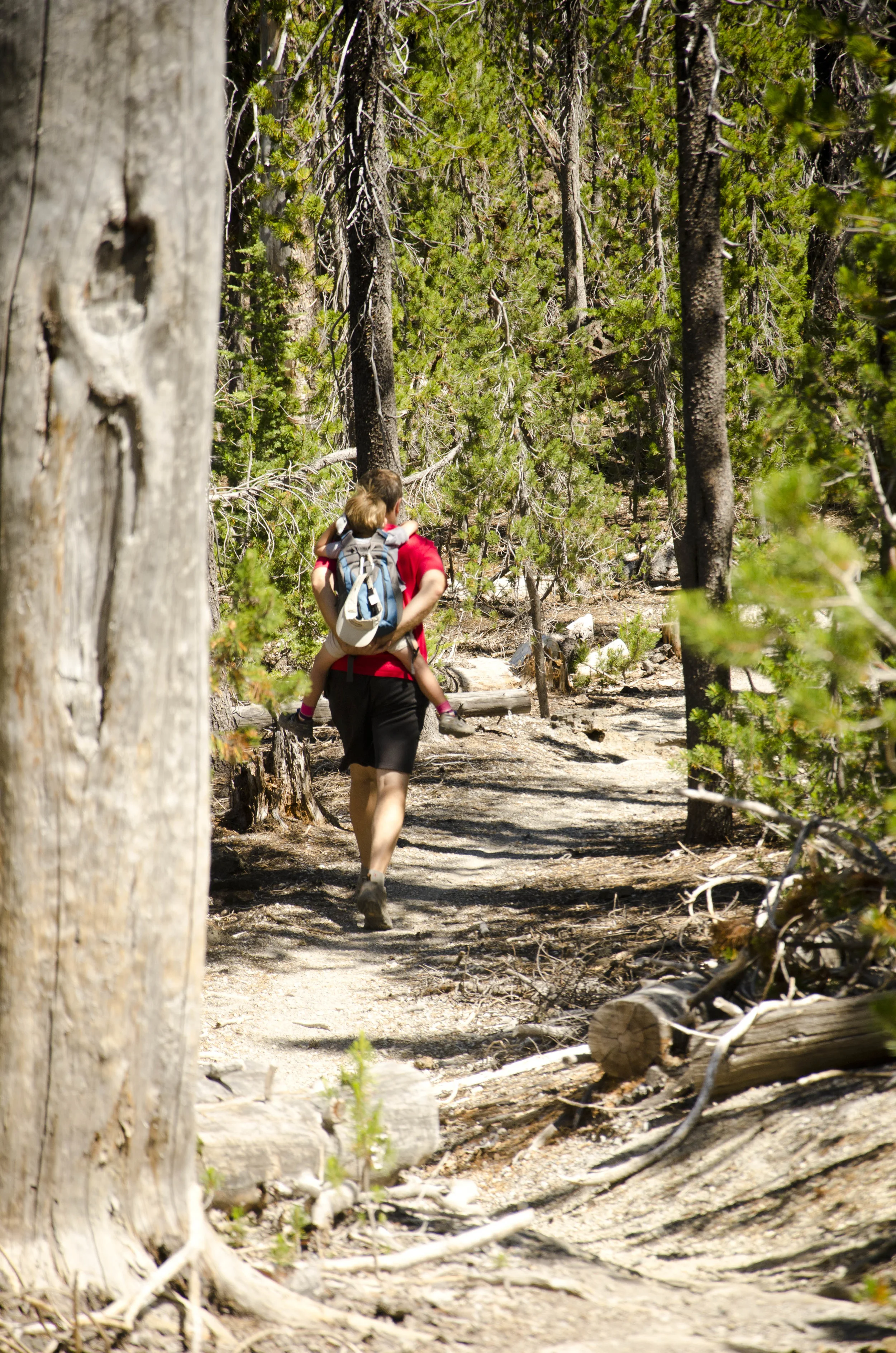 Day 13: Sparks Lake hike