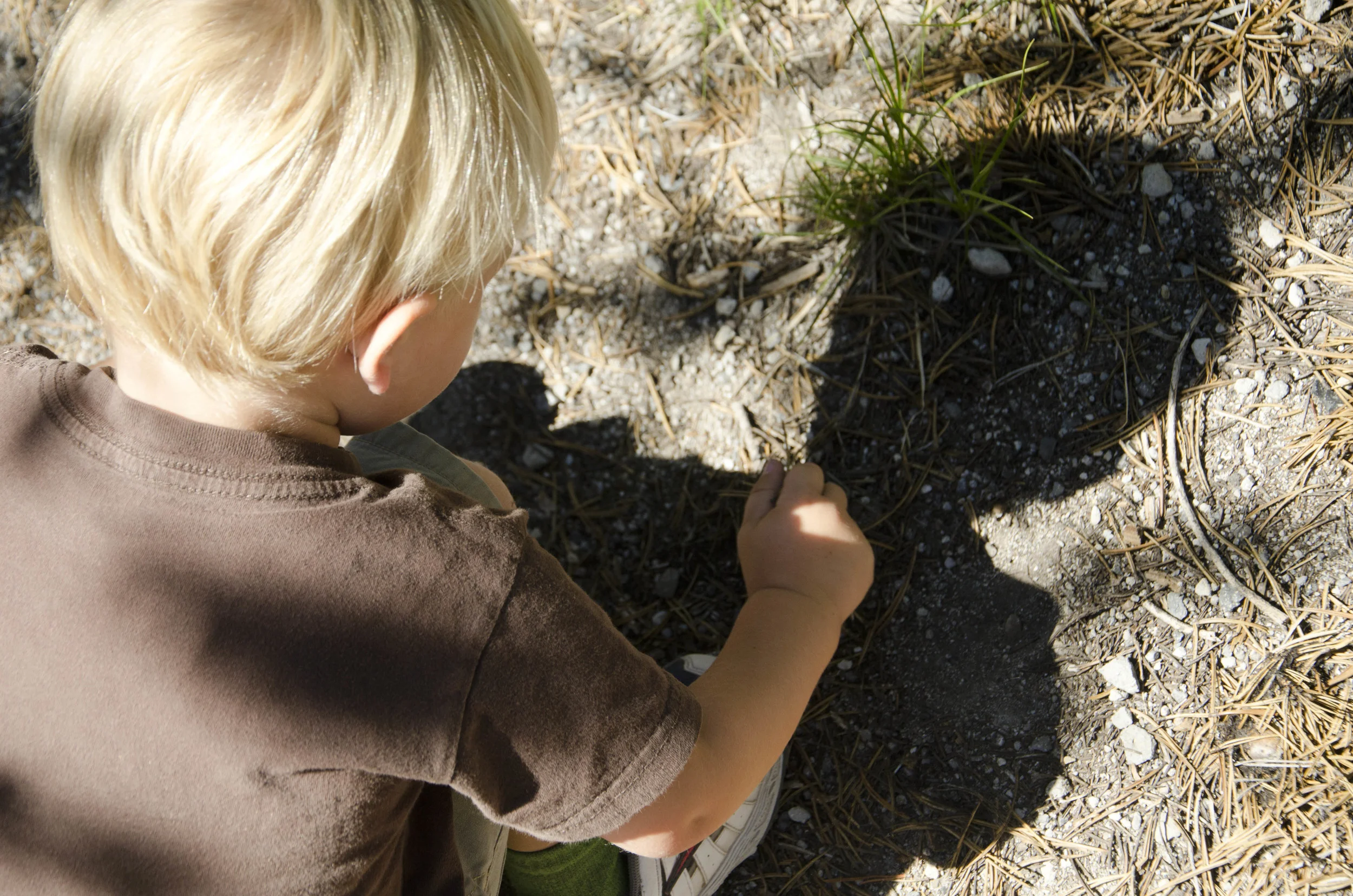 Day 13: Sparks Lake hike