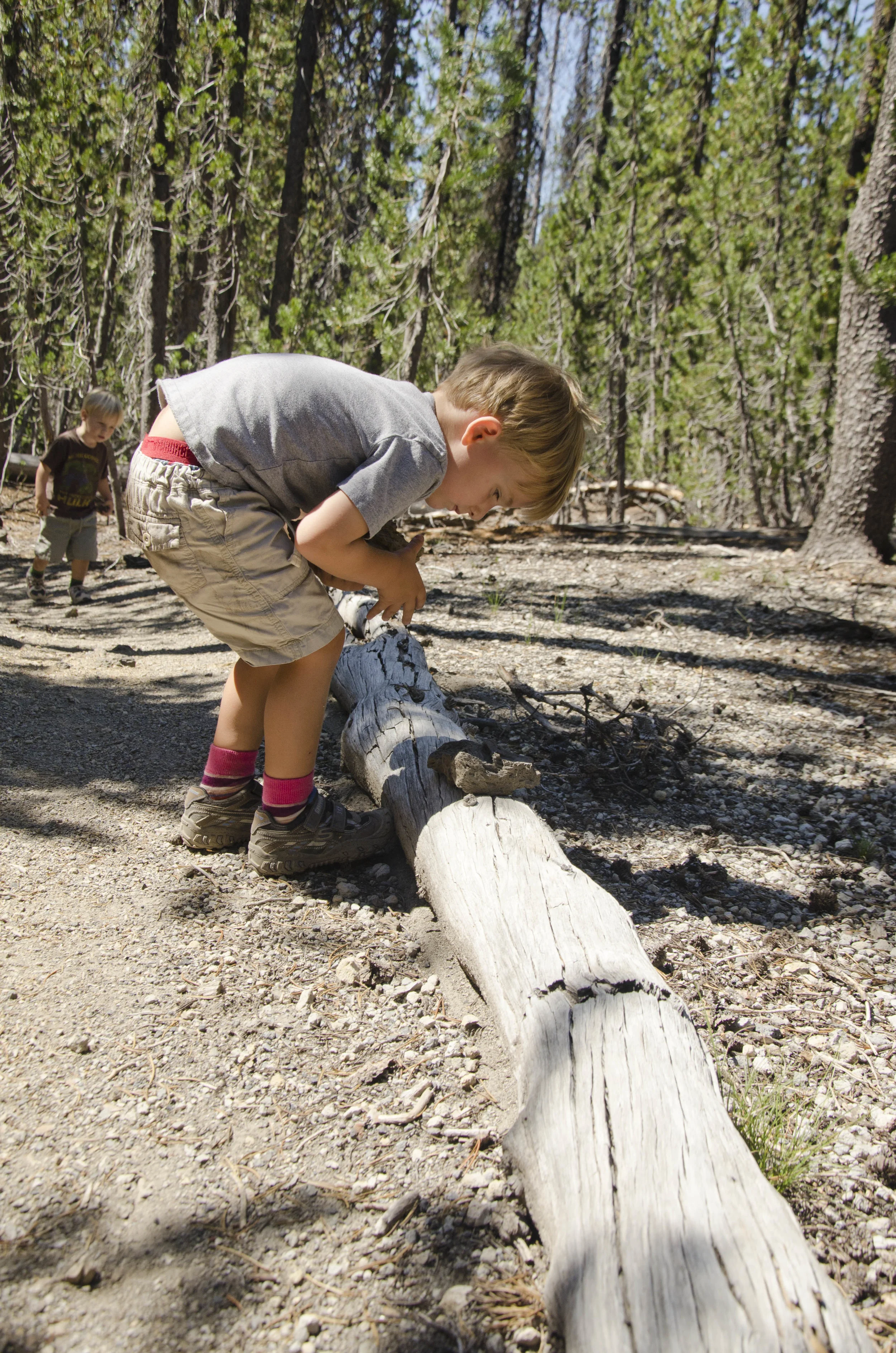 Day 13: Sparks Lake hike