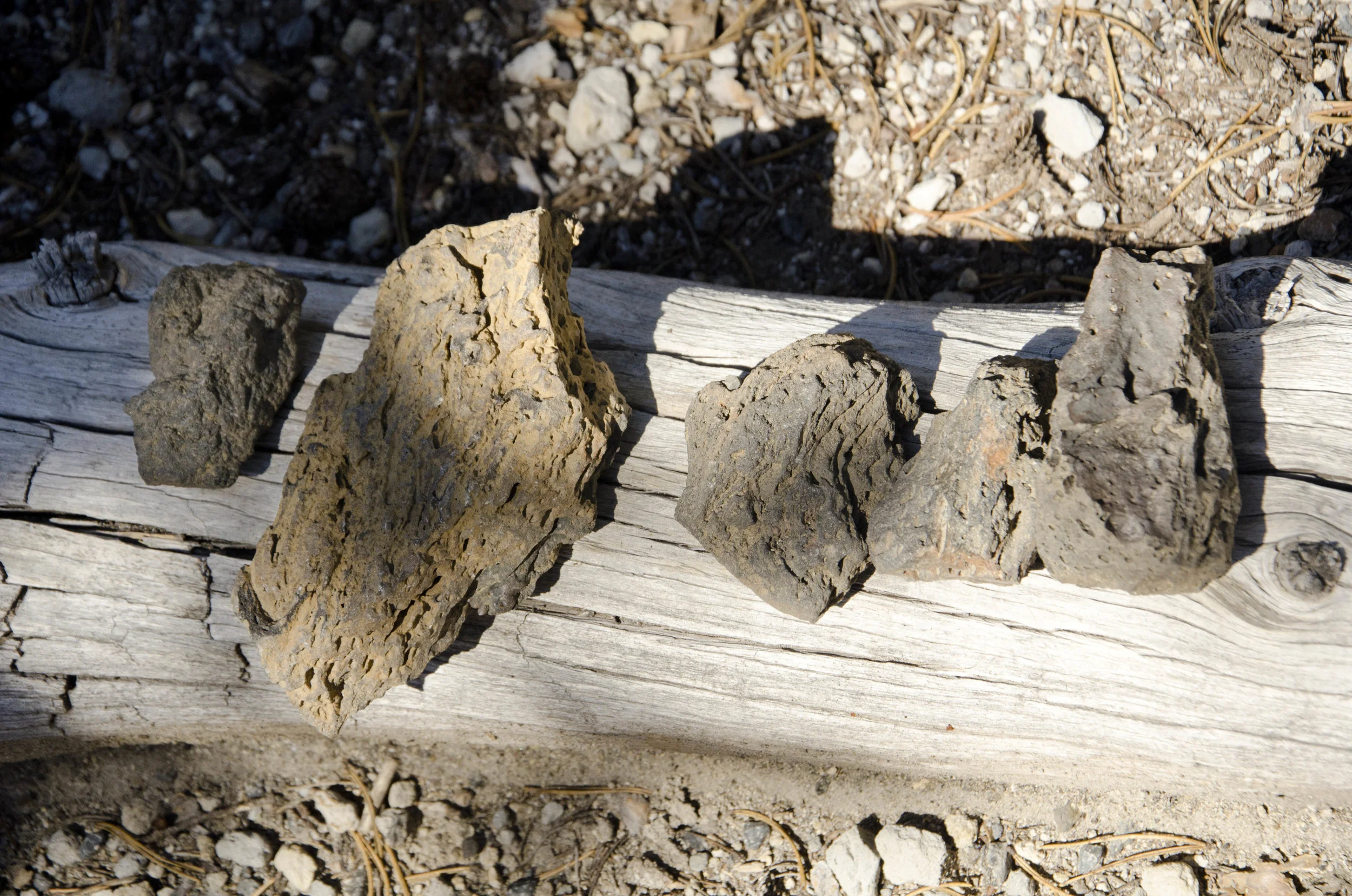 Day 13: Sparks Lake hike