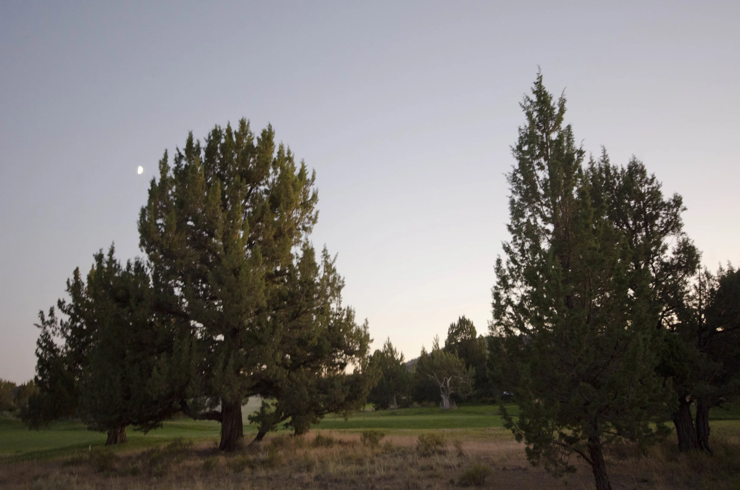 Day 13: Sparks Lake hike
