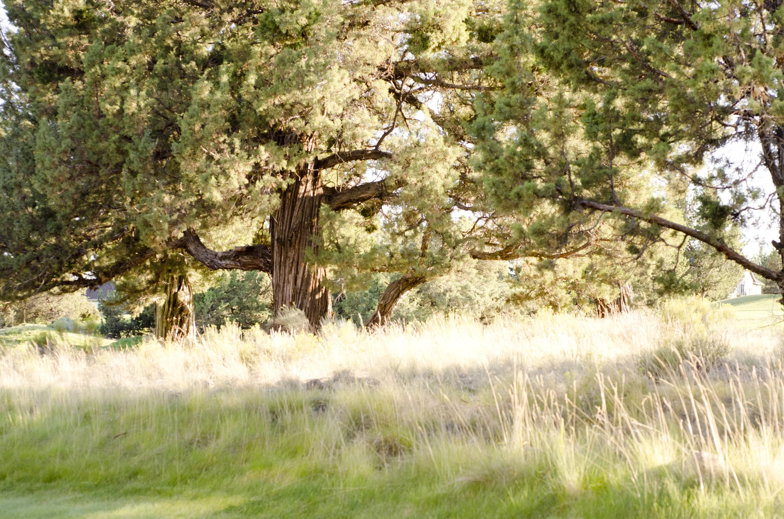 Day 12: Another food-centric day