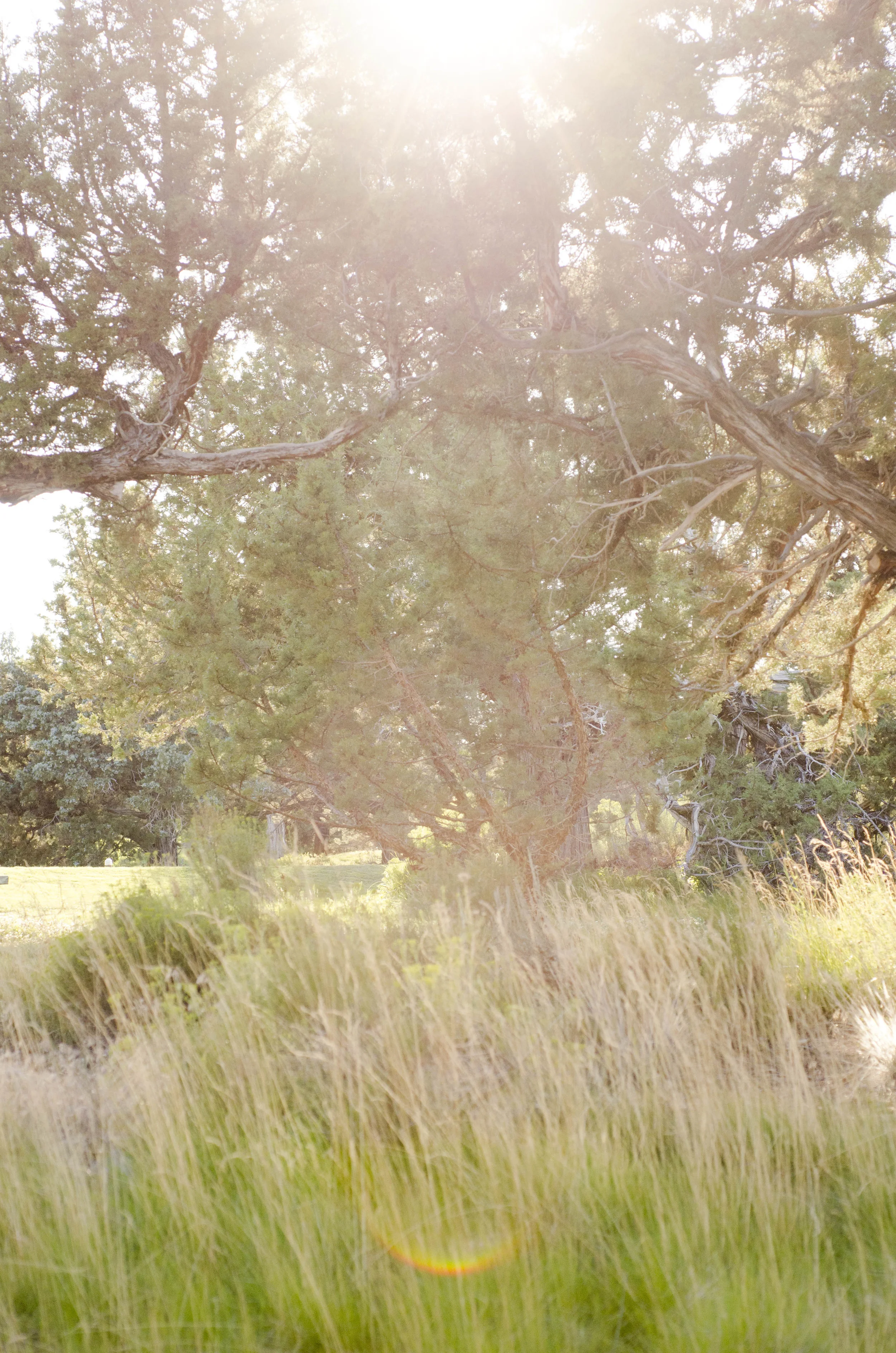 Day 12: Another food-centric day