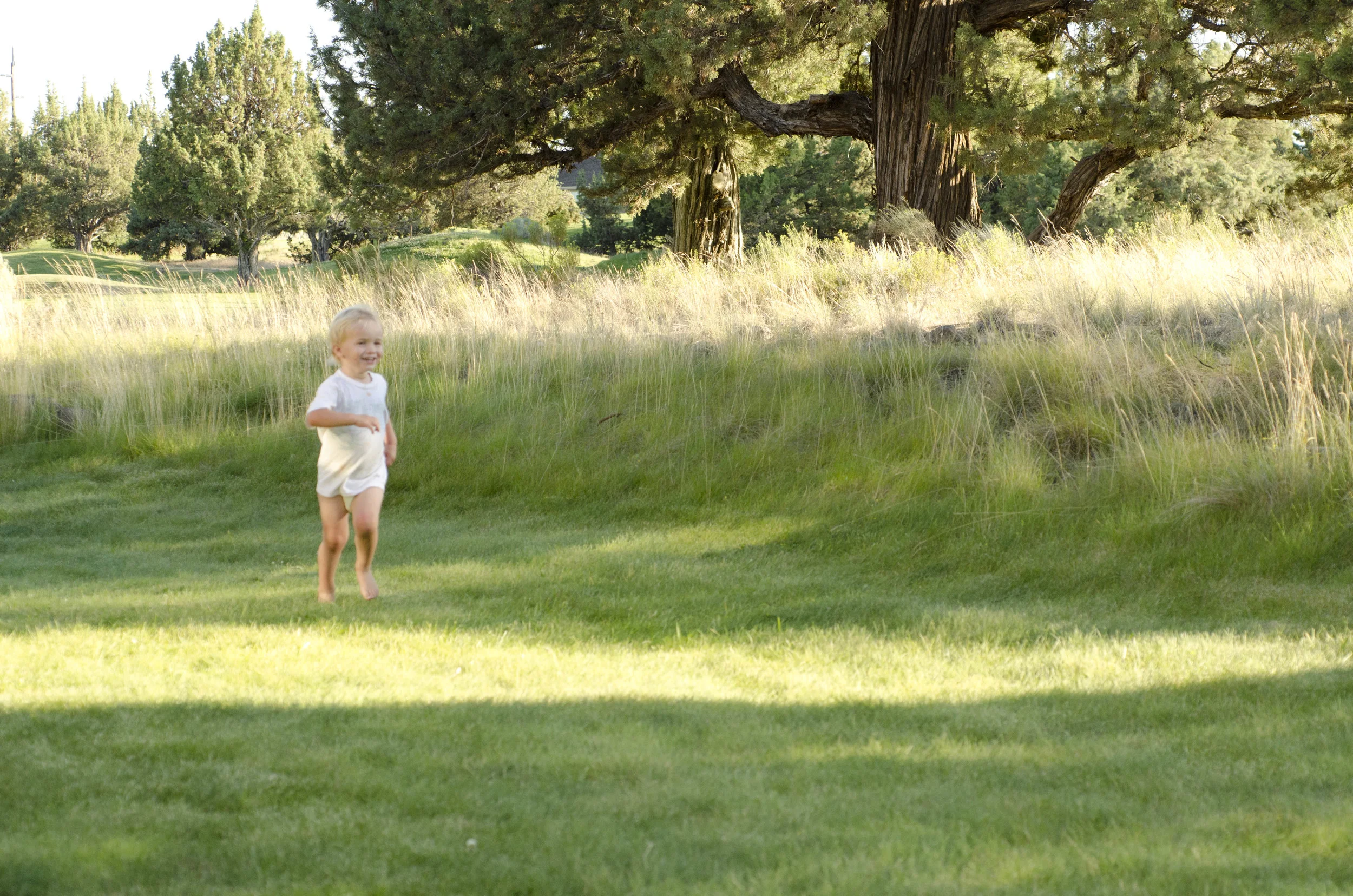 Day 12: Another food-centric day