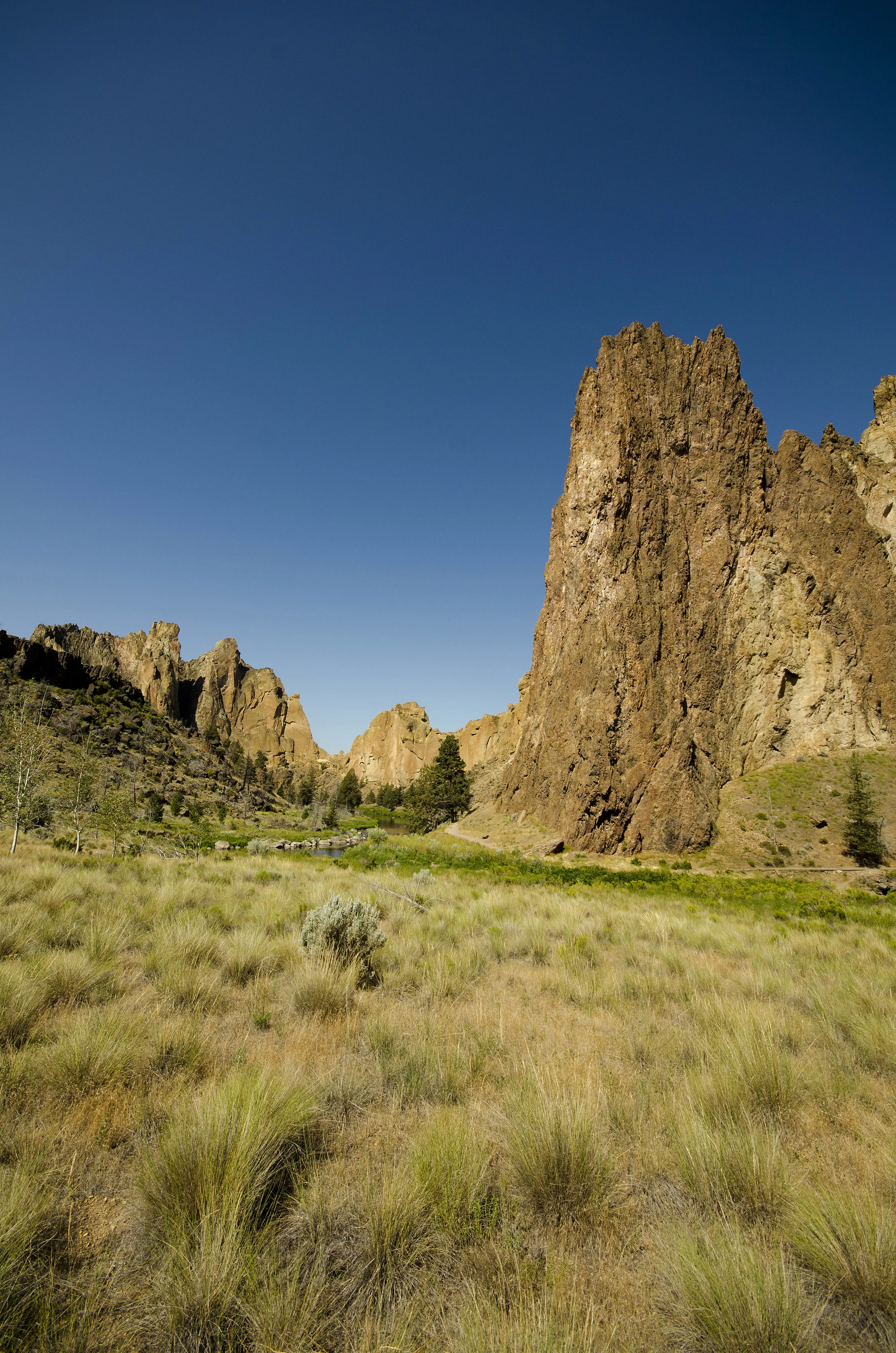 Day 11: Happy birthday, Bear!