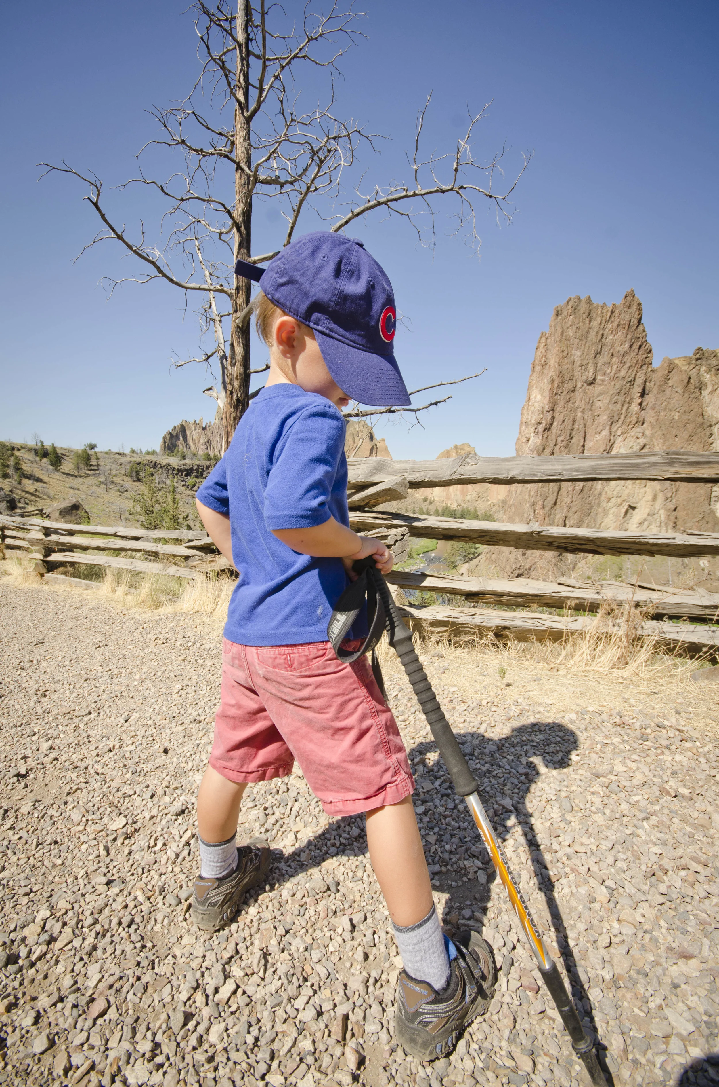 Day 11: Happy birthday, Bear!