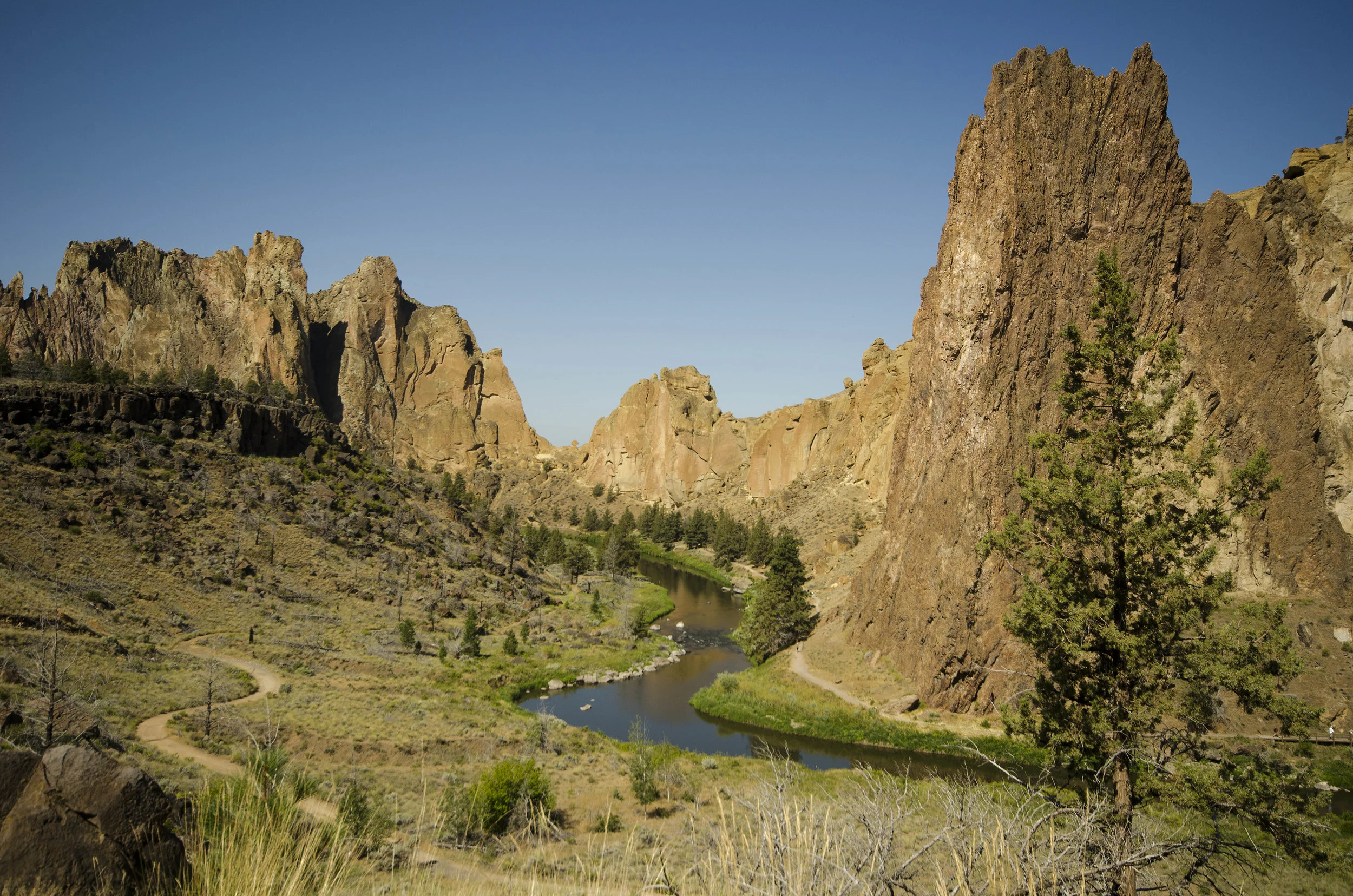 Day 11: Happy birthday, Bear!