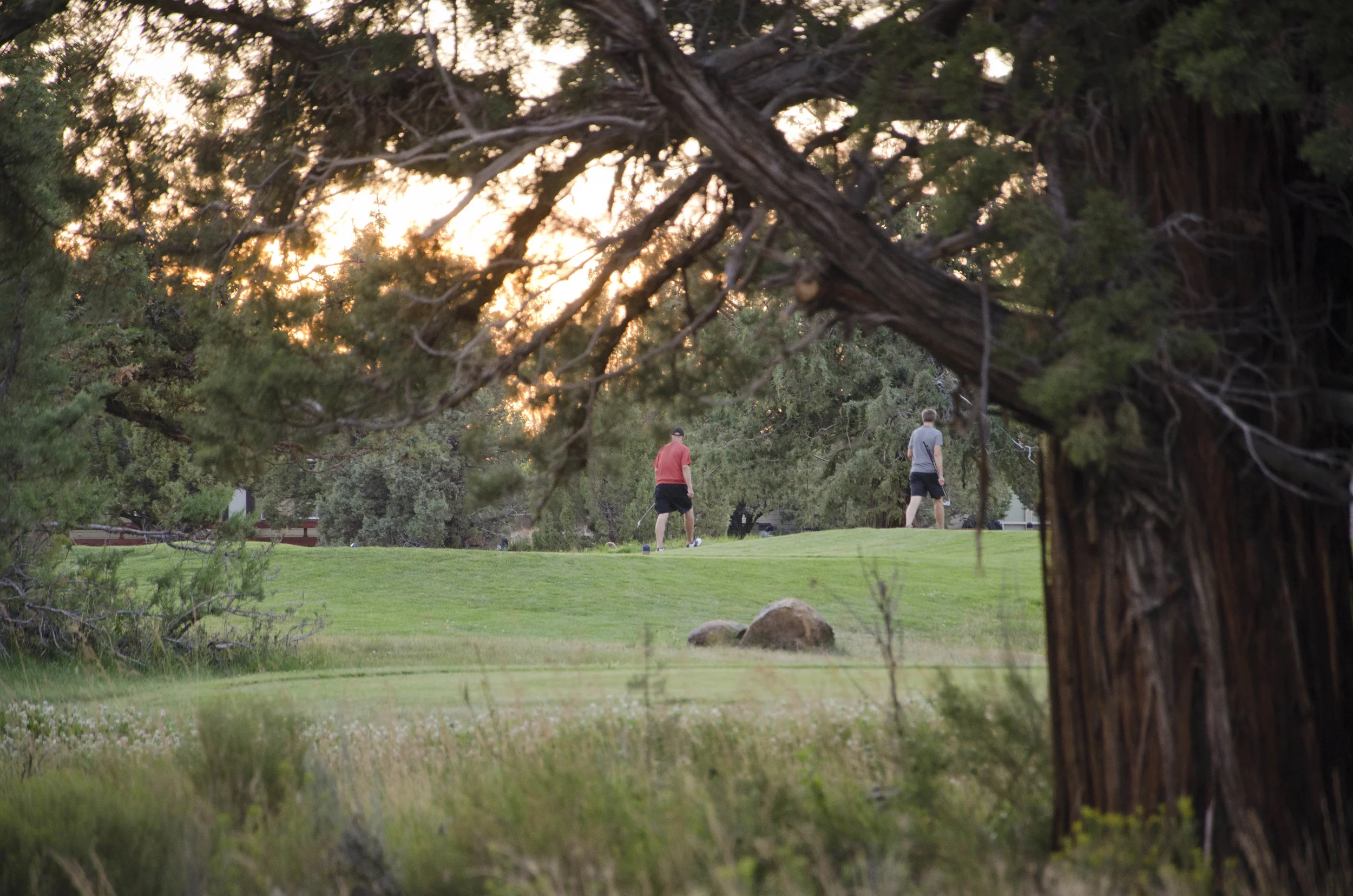 Day 11: Happy birthday, Bear!