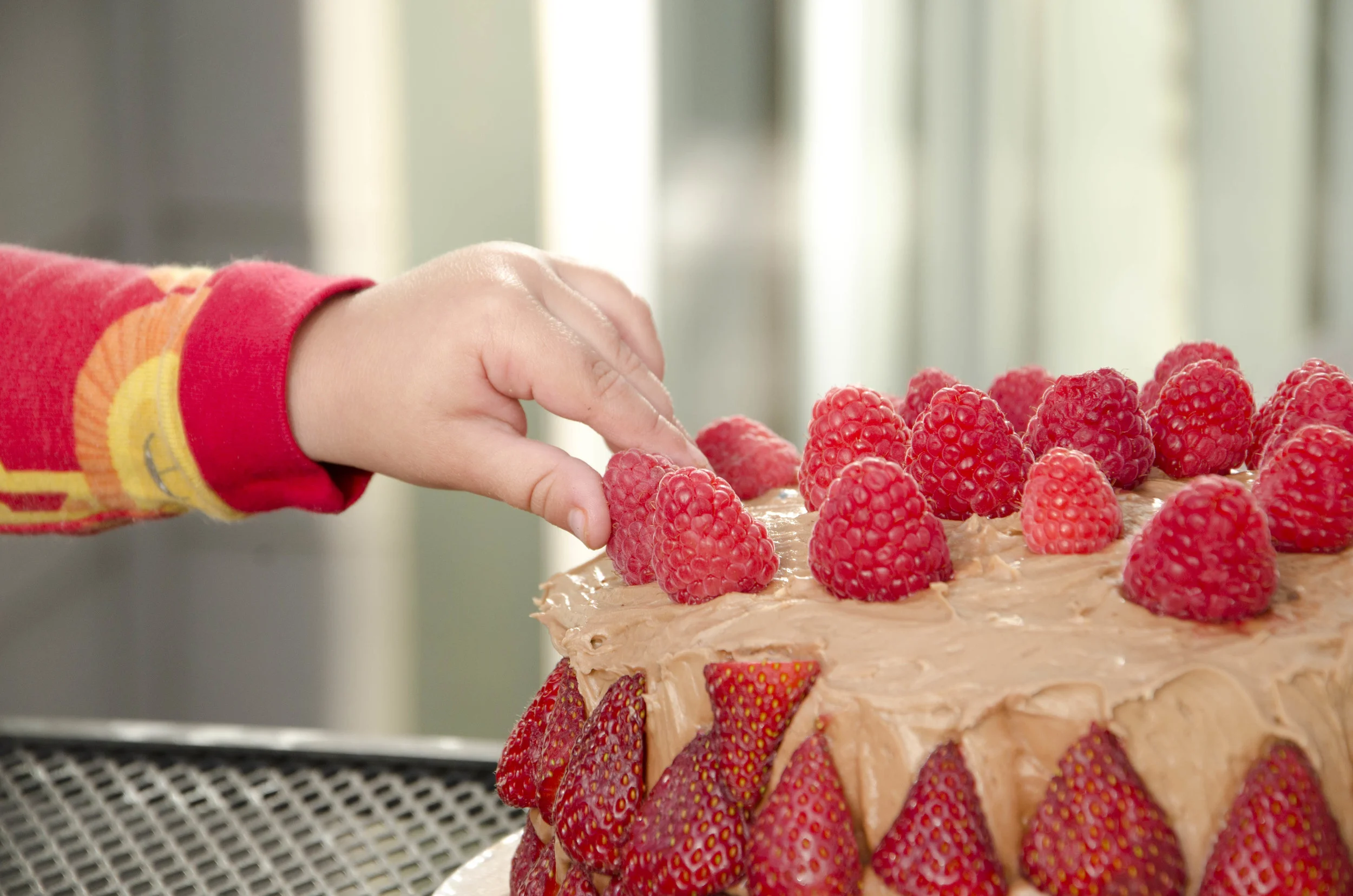 Day 11: Happy birthday, Bear!