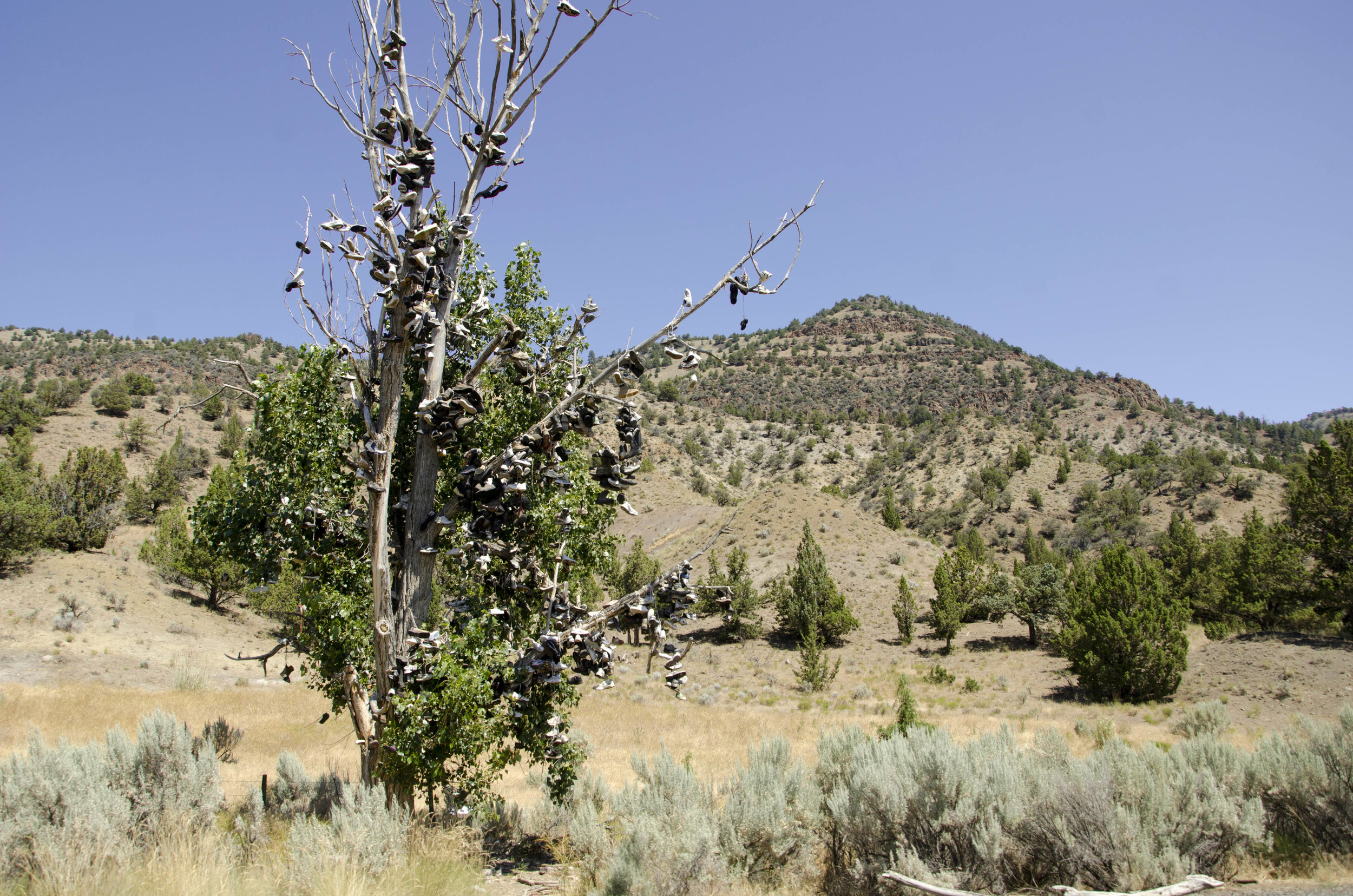 Day 10: 325 miles and 2 states and the beginning of a"long term" stay