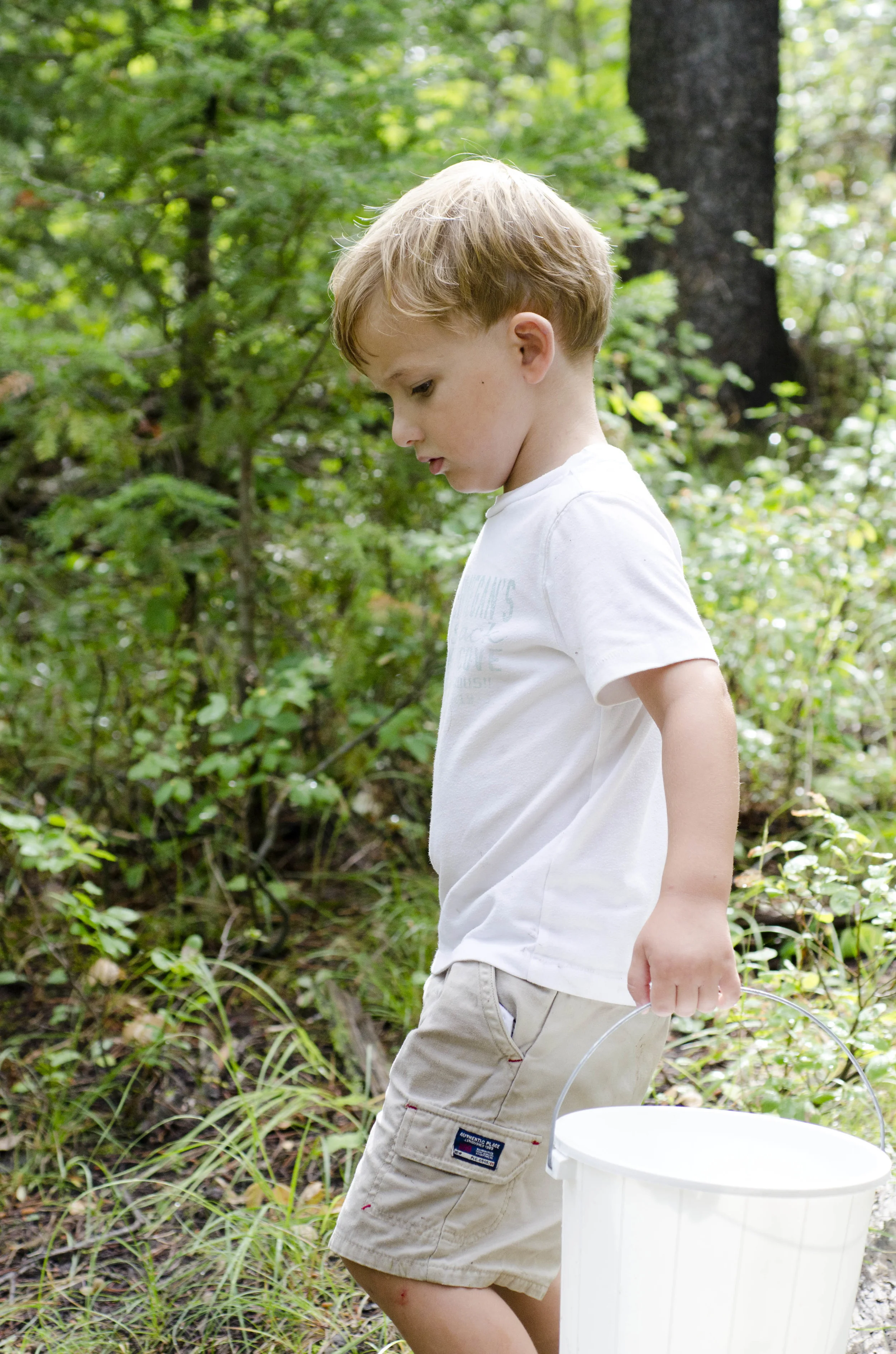 Day 9: a change in plans and 345 miles in one state