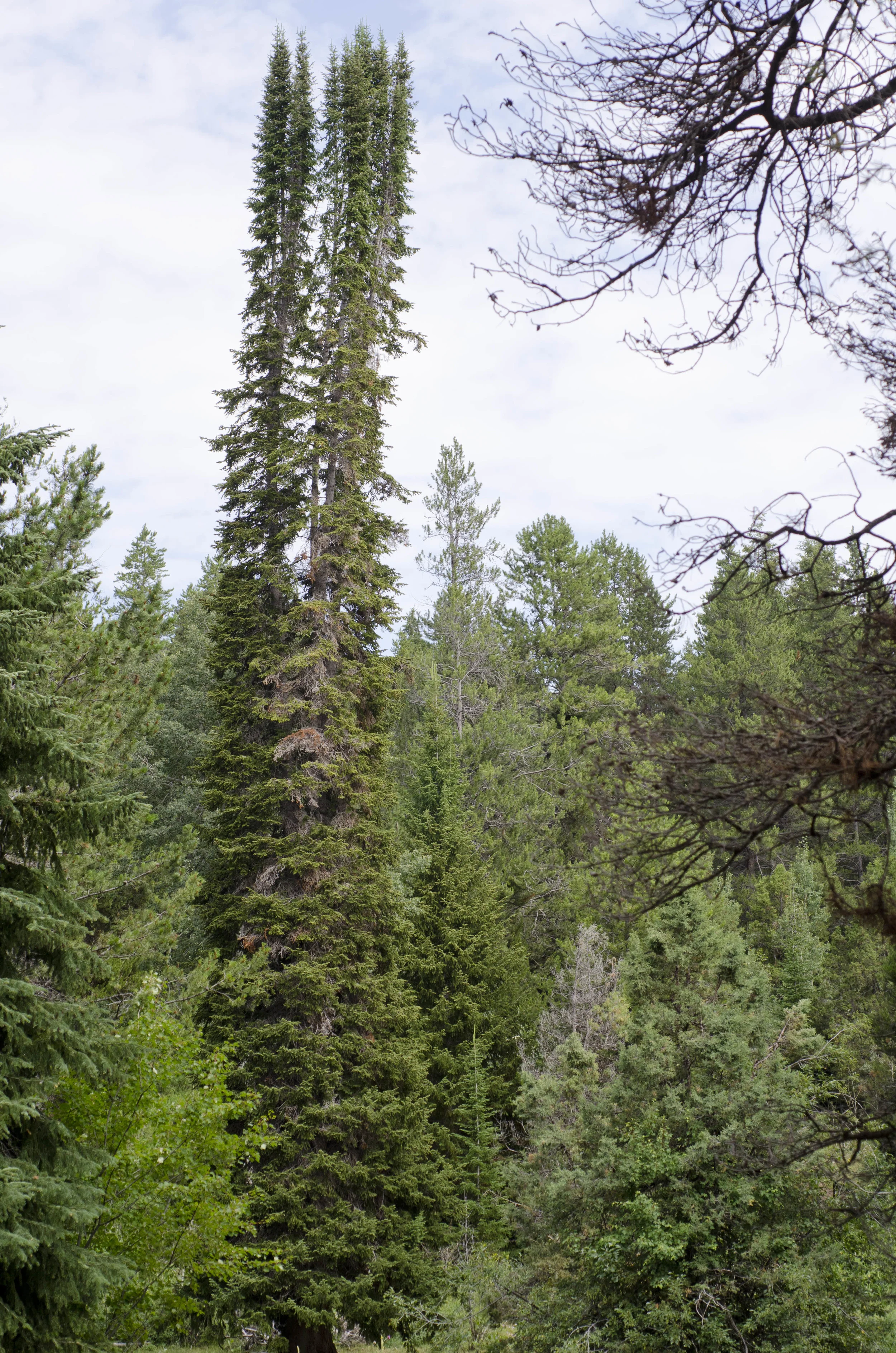 Day 9: a change in plans and 345 miles in one state