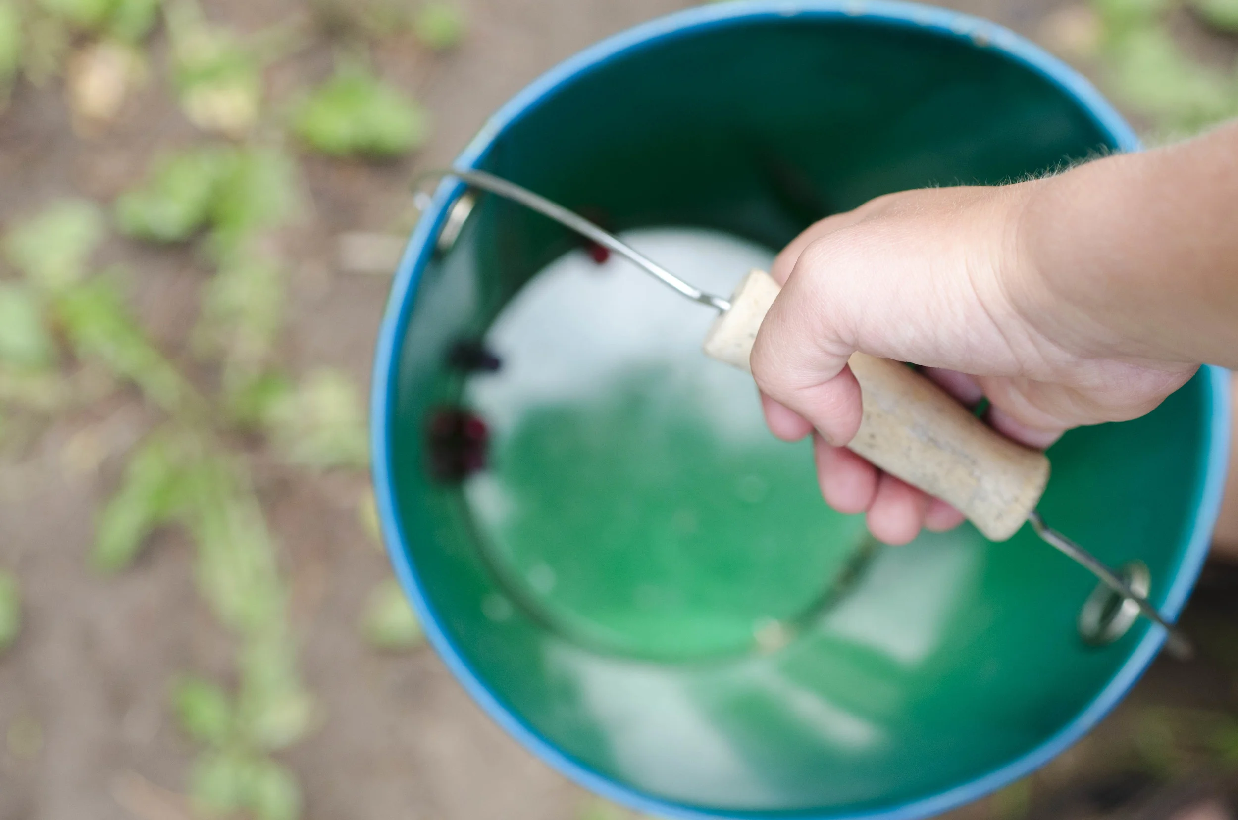 Day 9: a change in plans and 345 miles in one state