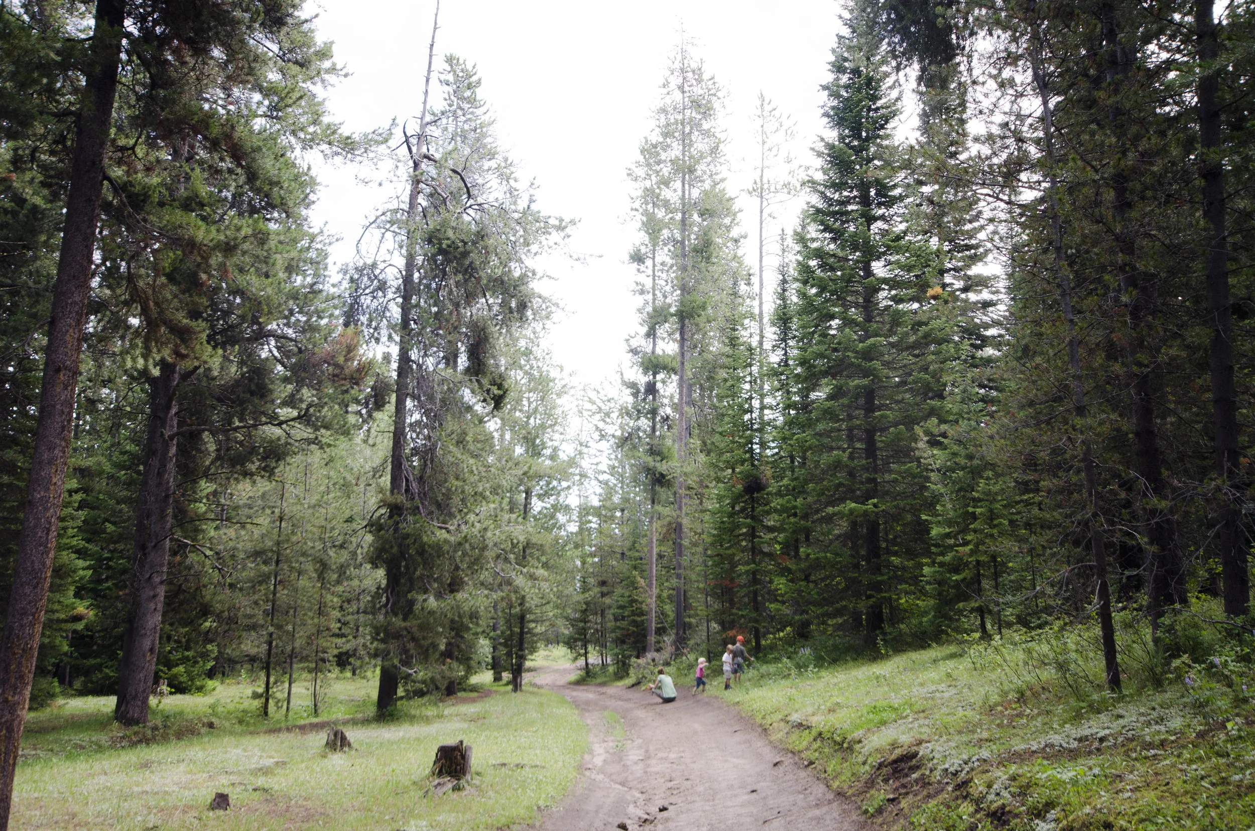 Day 9: a change in plans and 345 miles in one state