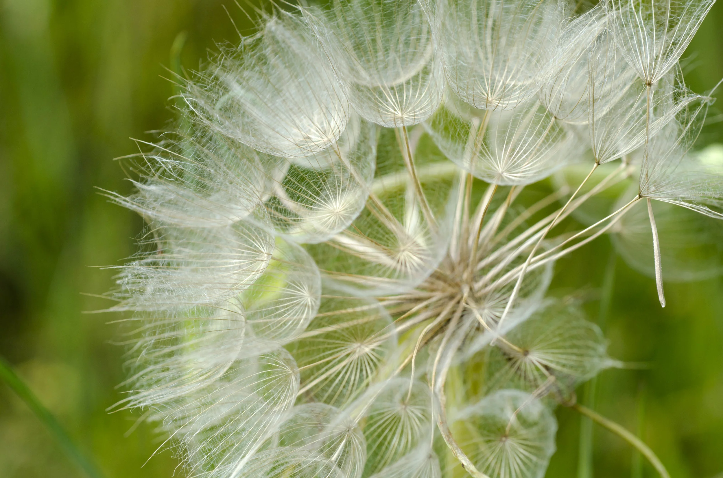 Day 9: a change in plans and 345 miles in one state