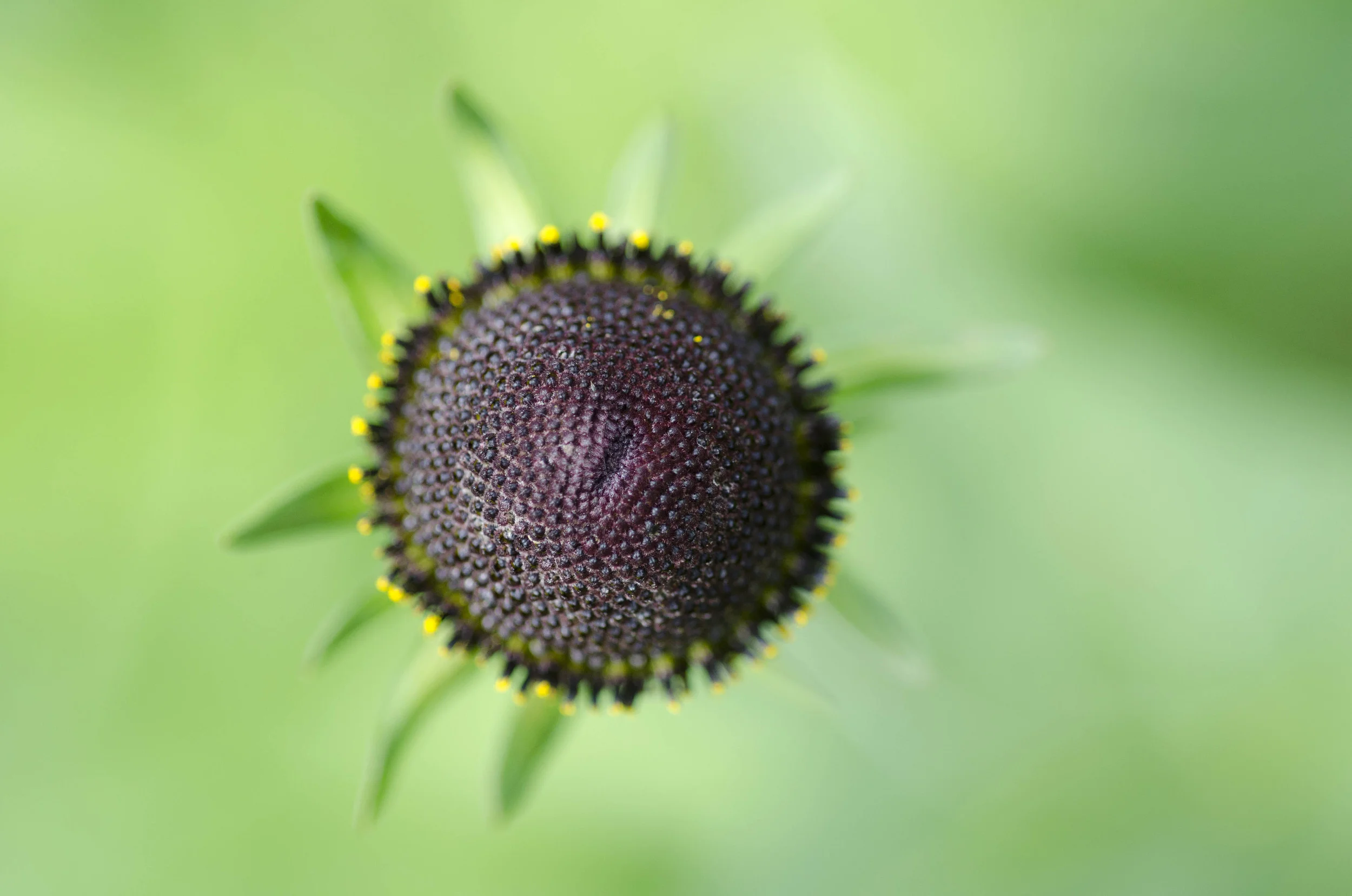 Day 9: a change in plans and 345 miles in one state