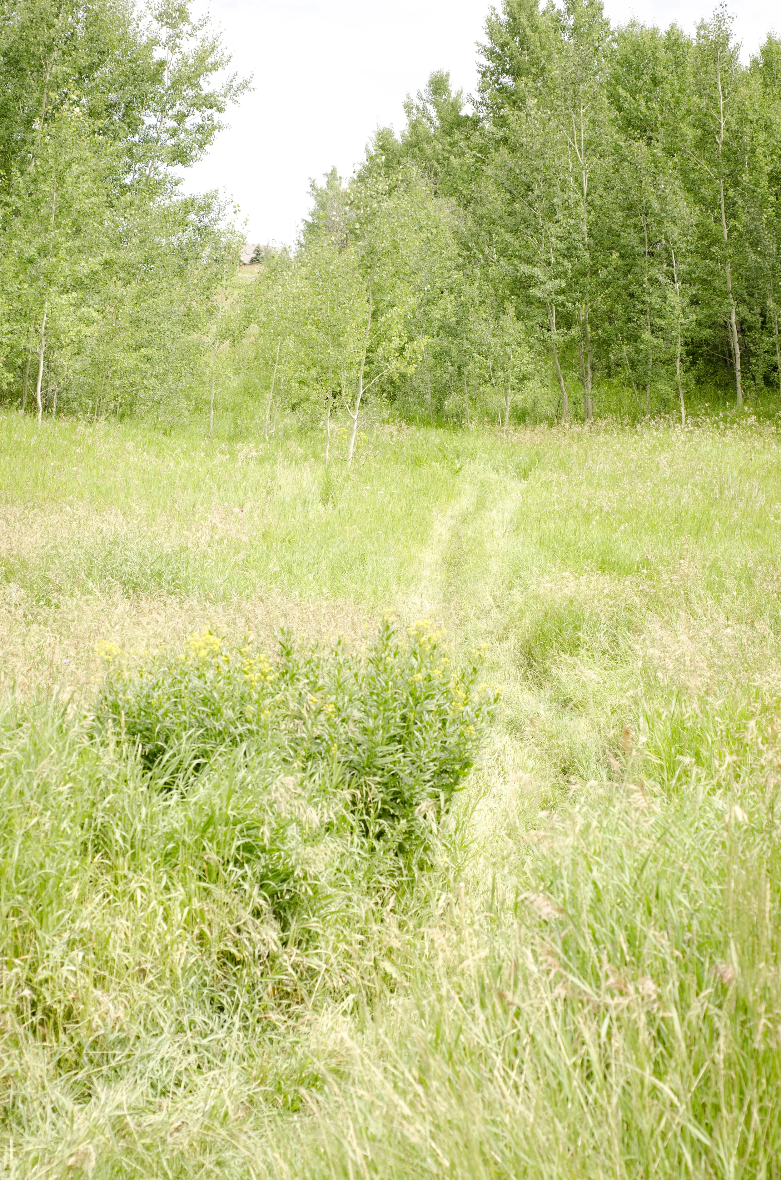 Day 9: a change in plans and 345 miles in one state