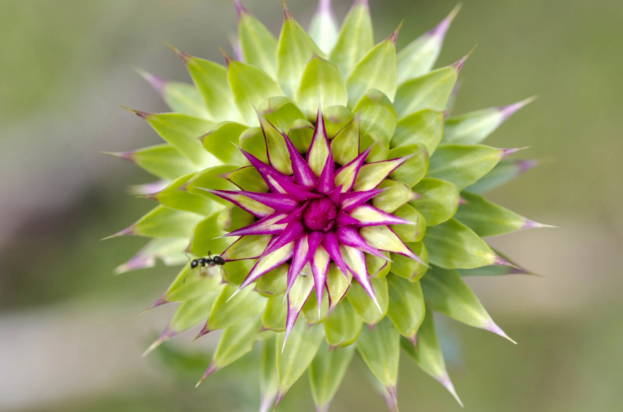 Day 9: a change in plans and 345 miles in one state