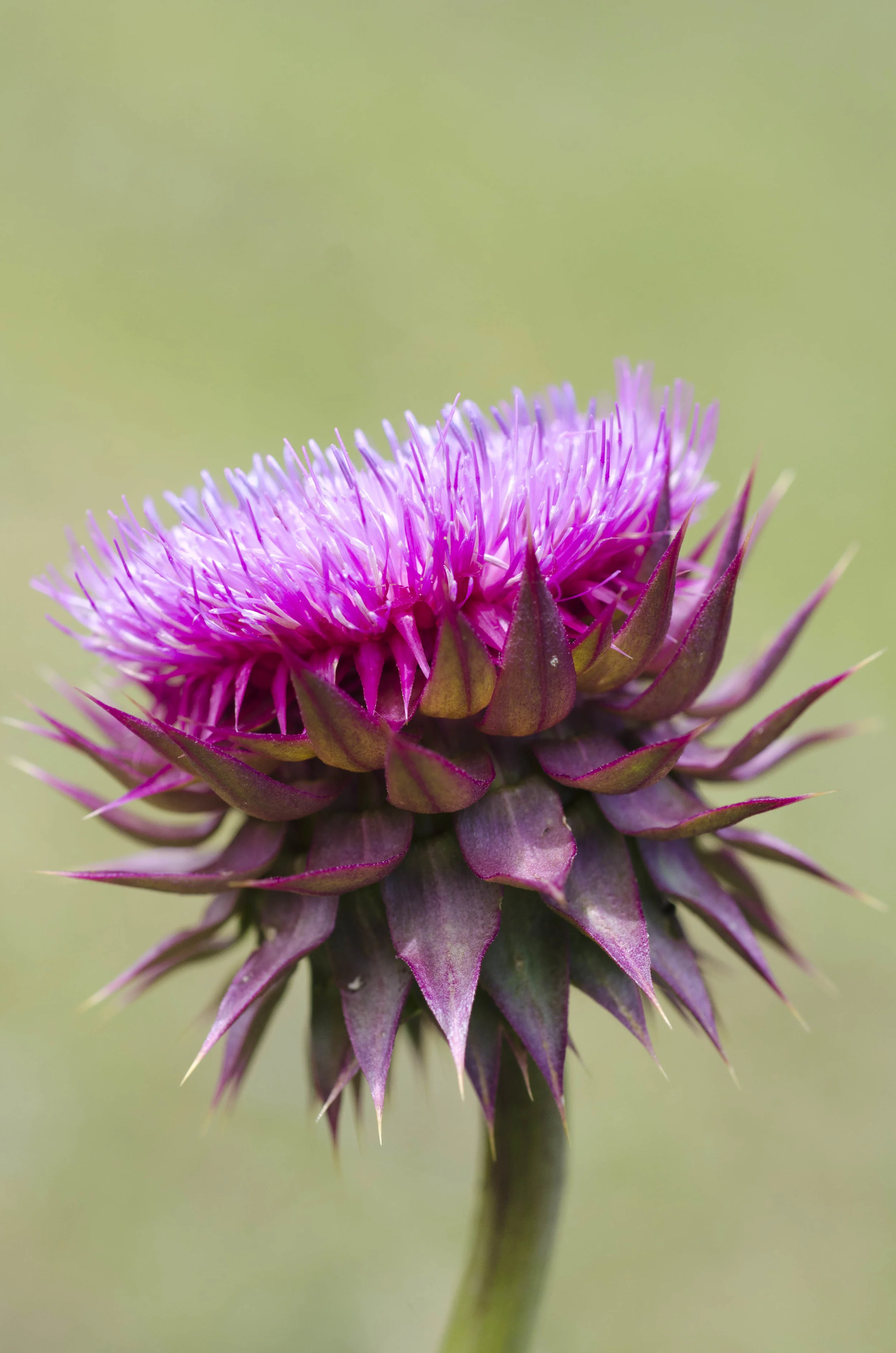 Day 9: a change in plans and 345 miles in one state