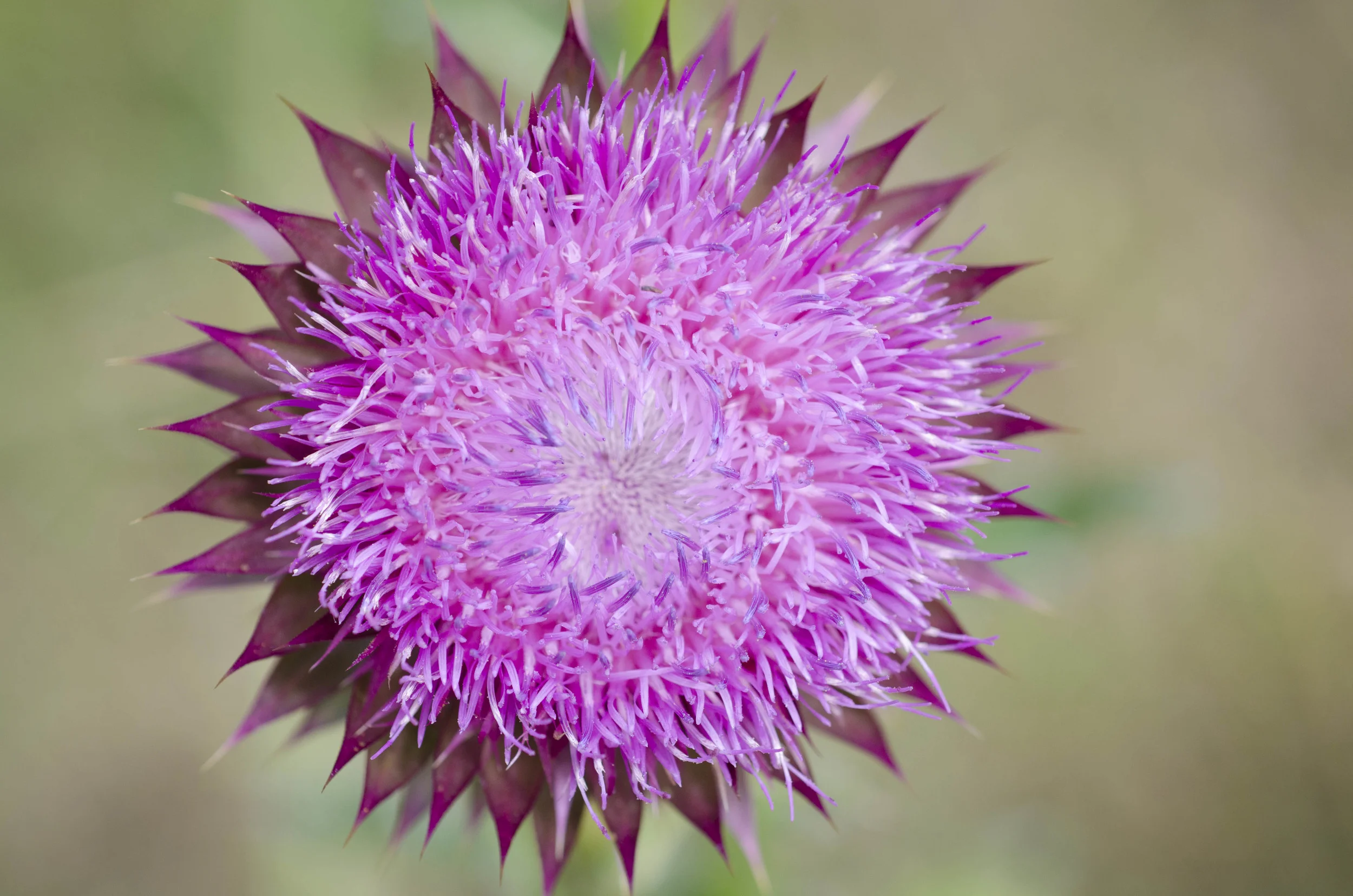 Day 9: a change in plans and 345 miles in one state