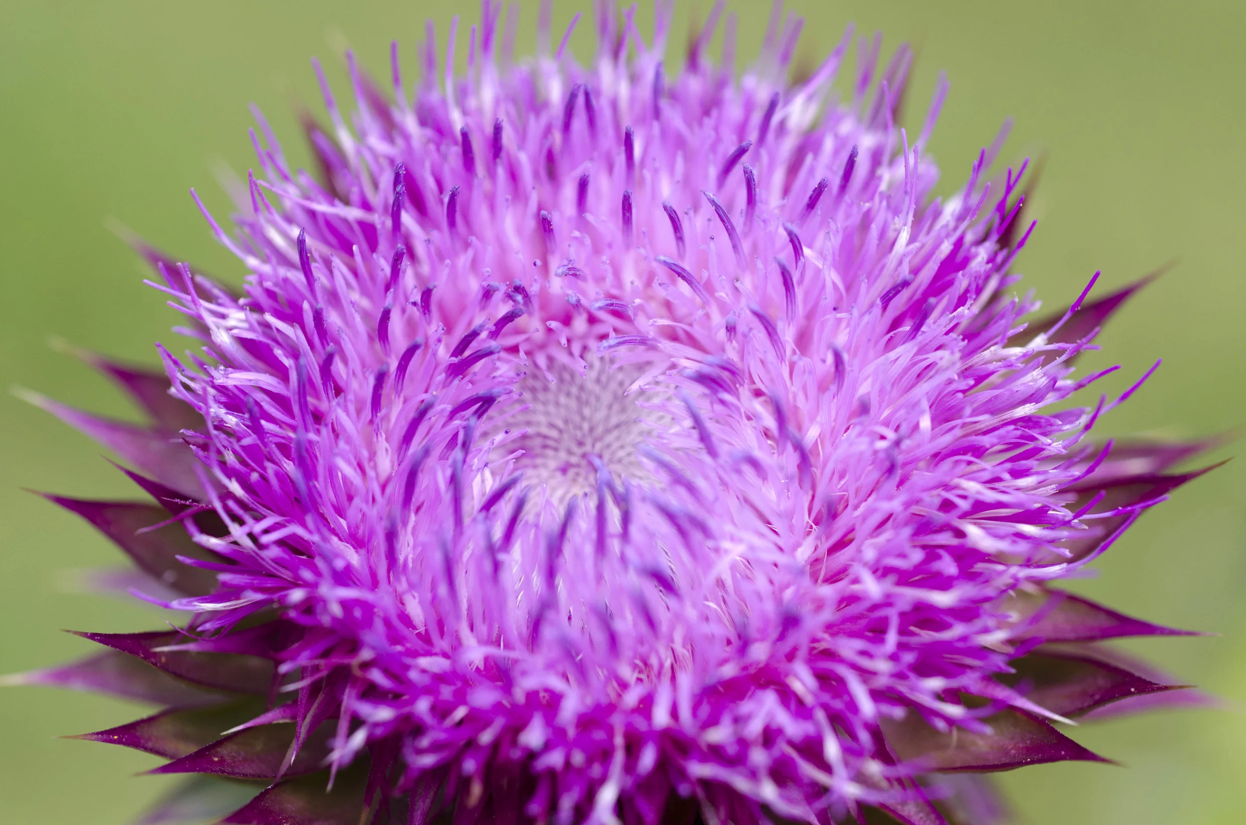 Day 9: a change in plans and 345 miles in one state