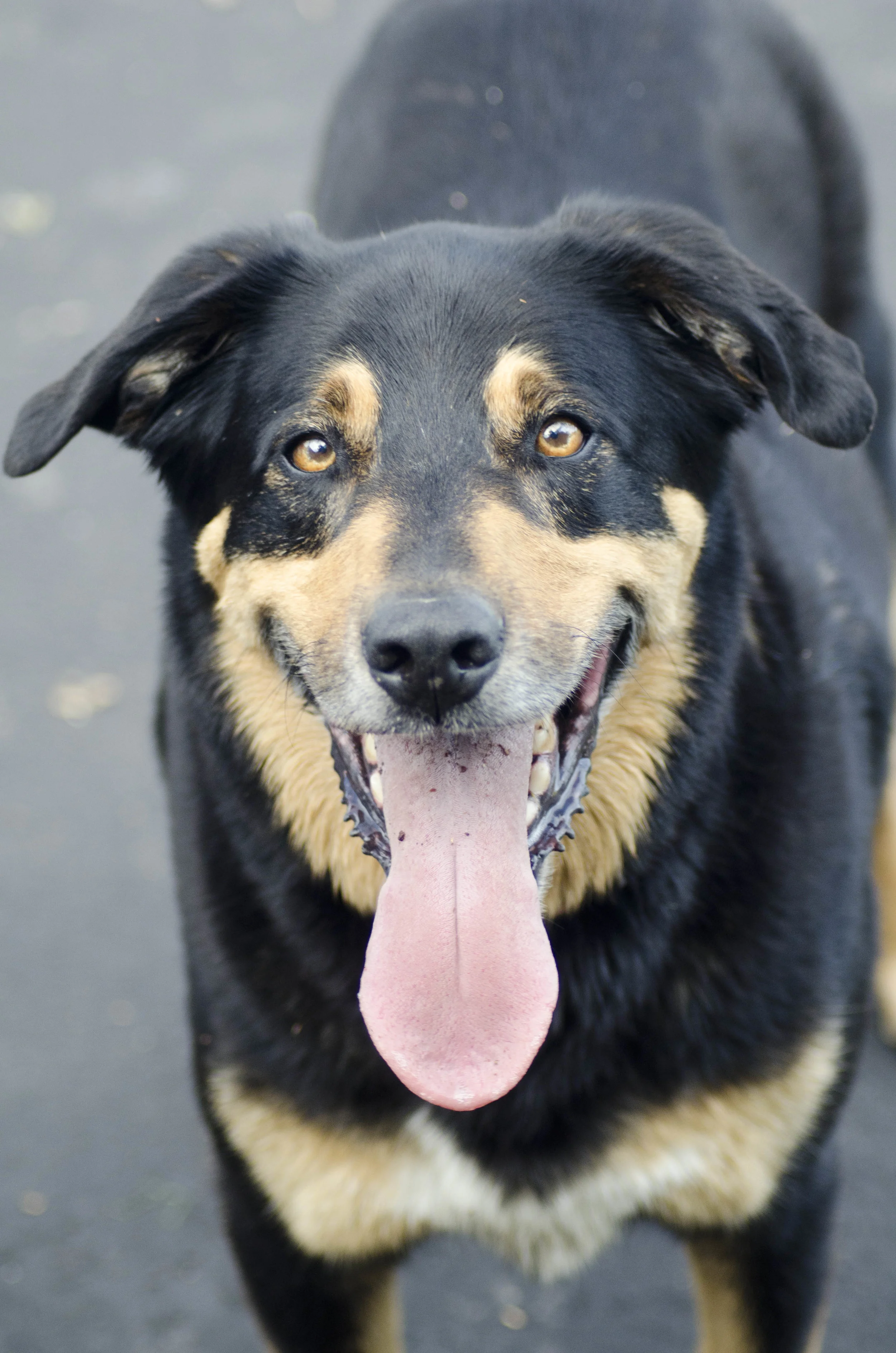 Day 9: a change in plans and 345 miles in one state