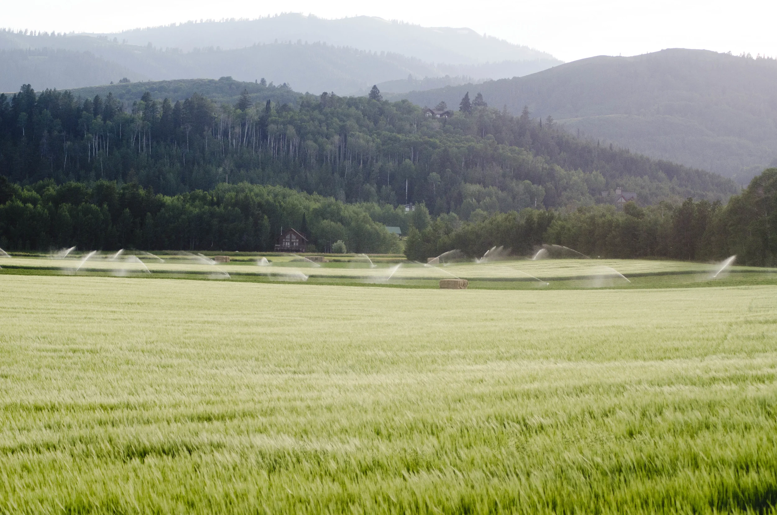 Day 9: a change in plans and 345 miles in one state