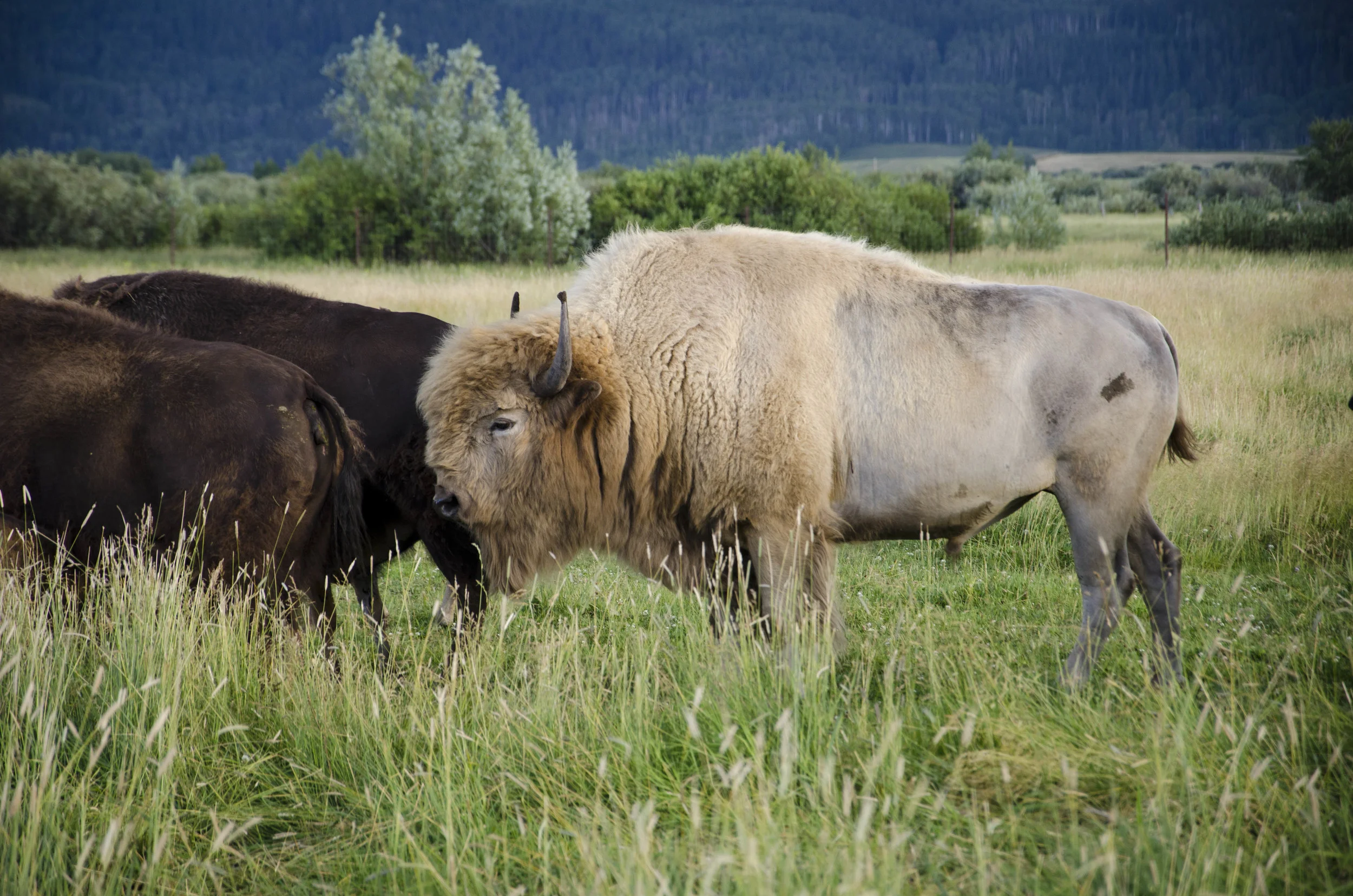 Day 9: a change in plans and 345 miles in one state