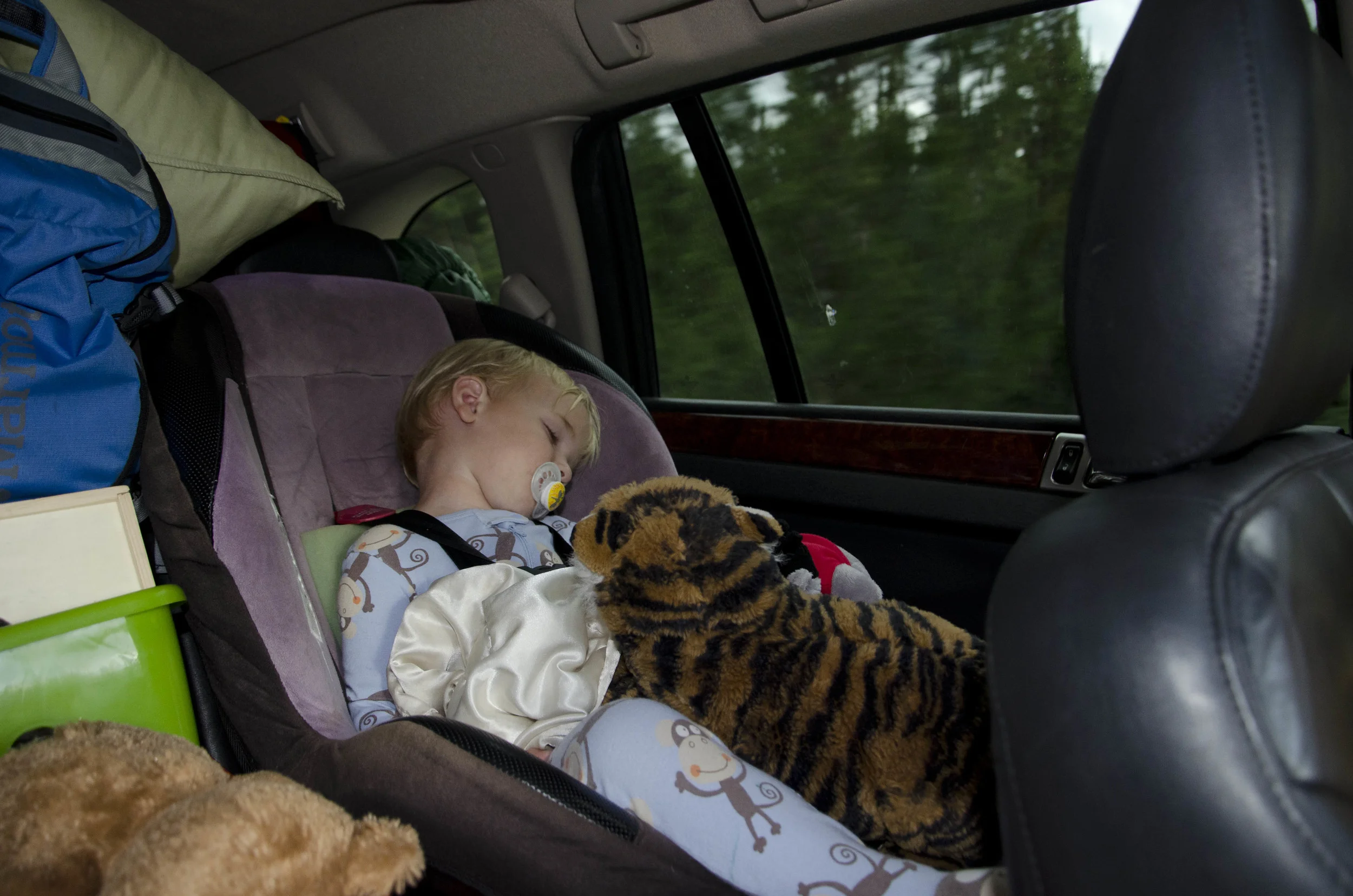 Day 9: a change in plans and 345 miles in one state